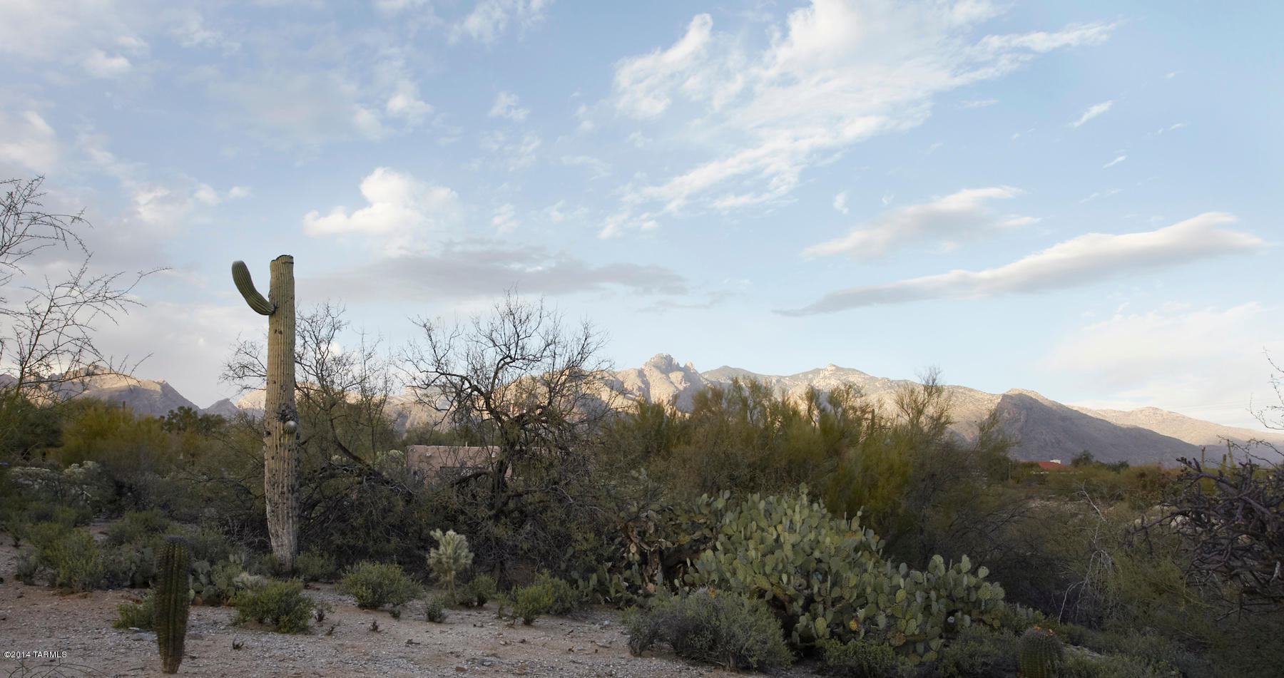 Catalina Foothills Est 8 - Residential