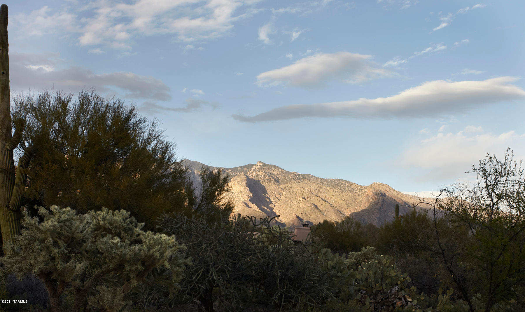 Catalina Foothills Est 8 - Residential