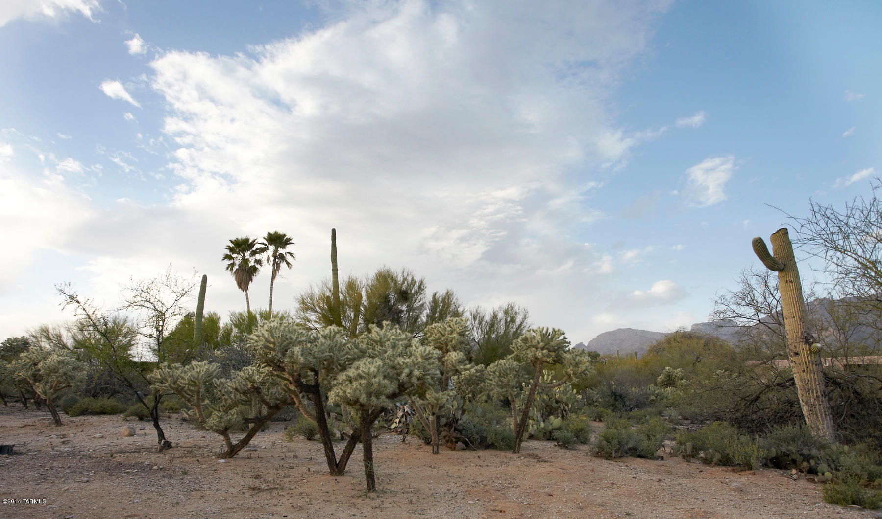Catalina Foothills Est 8 - Residential