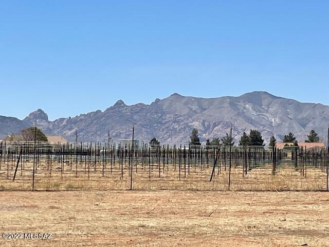 2 lovely lots facing the Cochise Stronghold. Backs up to the
Vineyard. Paved streets. Clear Springs Utility water and sewer available. Fiber Optic internet available. Power at the street. Frame built homes only. NO MFH.
includes tax parcels 114-18-404 and 405