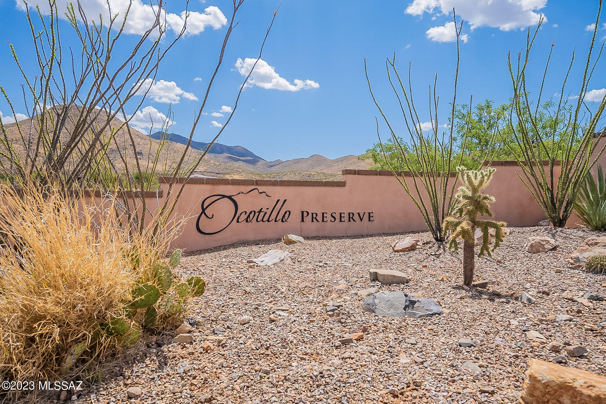 Ocotillo Preserve (1-42) - Residential