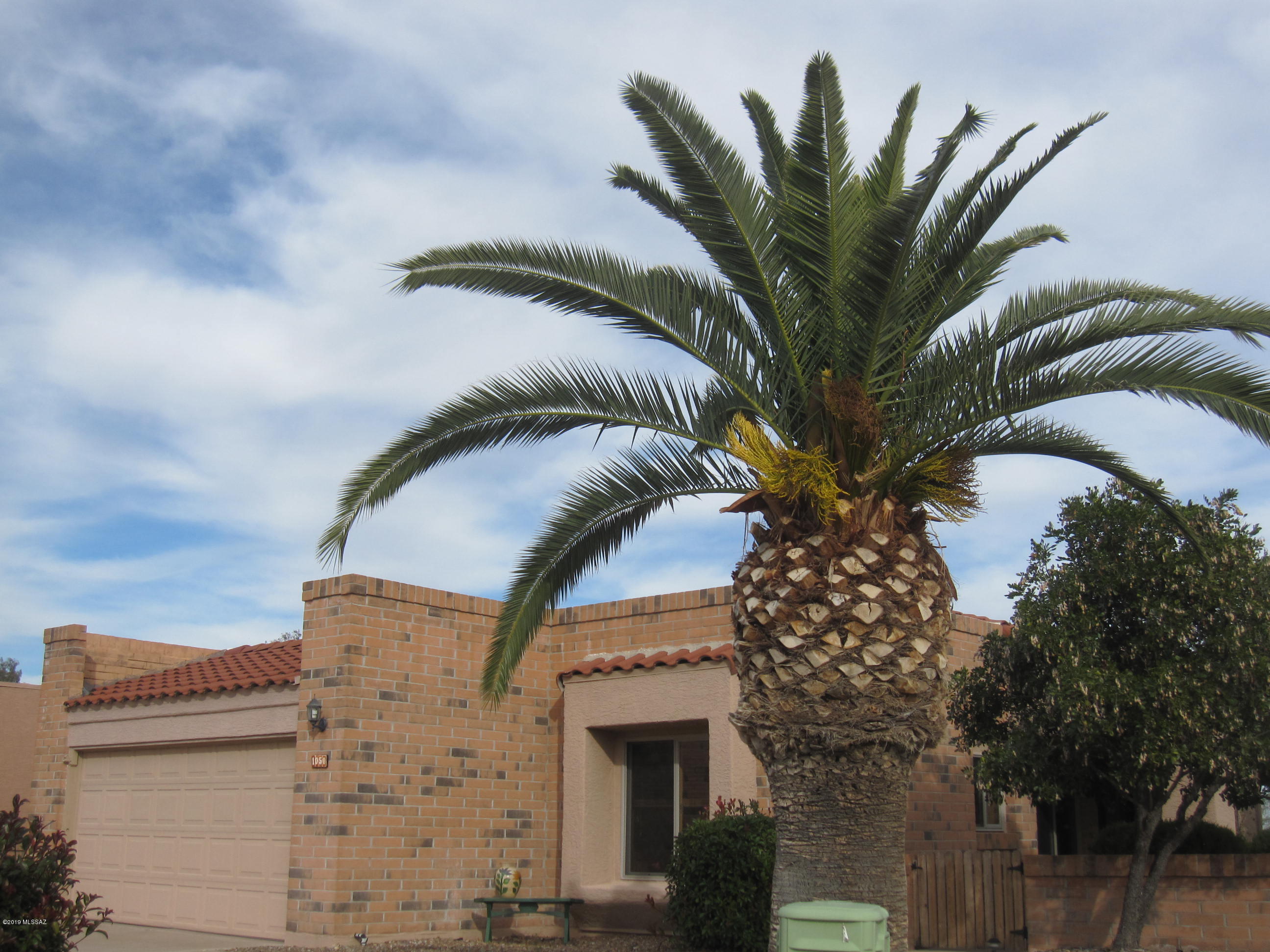 Colonia De Los Alamos - Viewpoint - Residential
