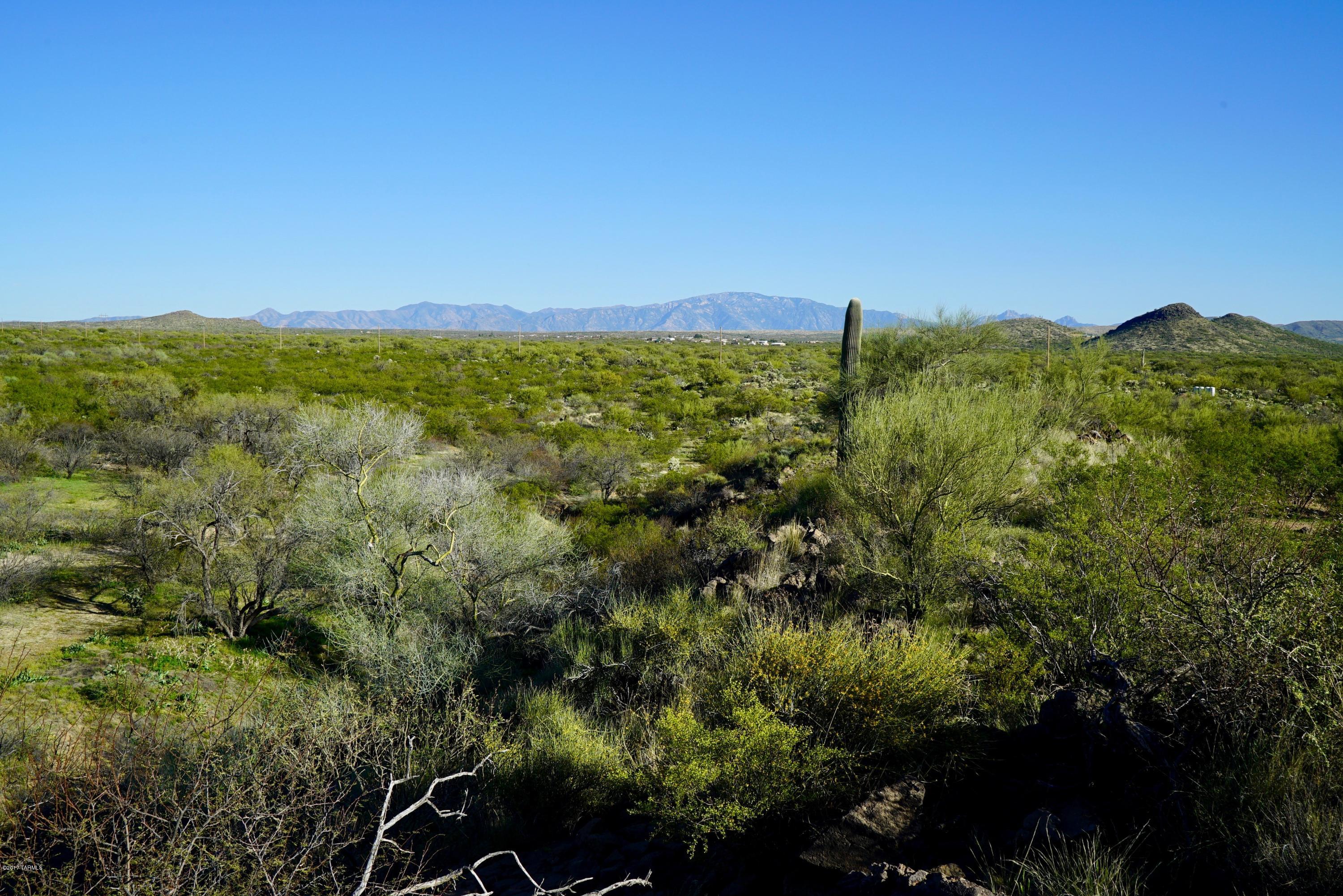15.22 ACRES of your private Mini-Ranchette, Close to Hwy 79 & Park Link. This Sonoran Desert Homestead is ready for you to make your own Ranch. Want horses, goats, & cows? This parcel Situated privately behind a ridge for max privacy. Do you need a place to grow your plants? Flat land w/ amazing mountain views! 4 other neighboring parcels for sale as well. Bring your friends & Family to homestead together! Tax bill has not yet come out for split with Pinal County so tax amount on listing is inclusive of all 80 acres for sale & will be evaluated later in the year. Survey DONE! Seller may carry w/ 5K down. Also for sale lots 4 and 5, MLS#s 21824587 and 21824531.