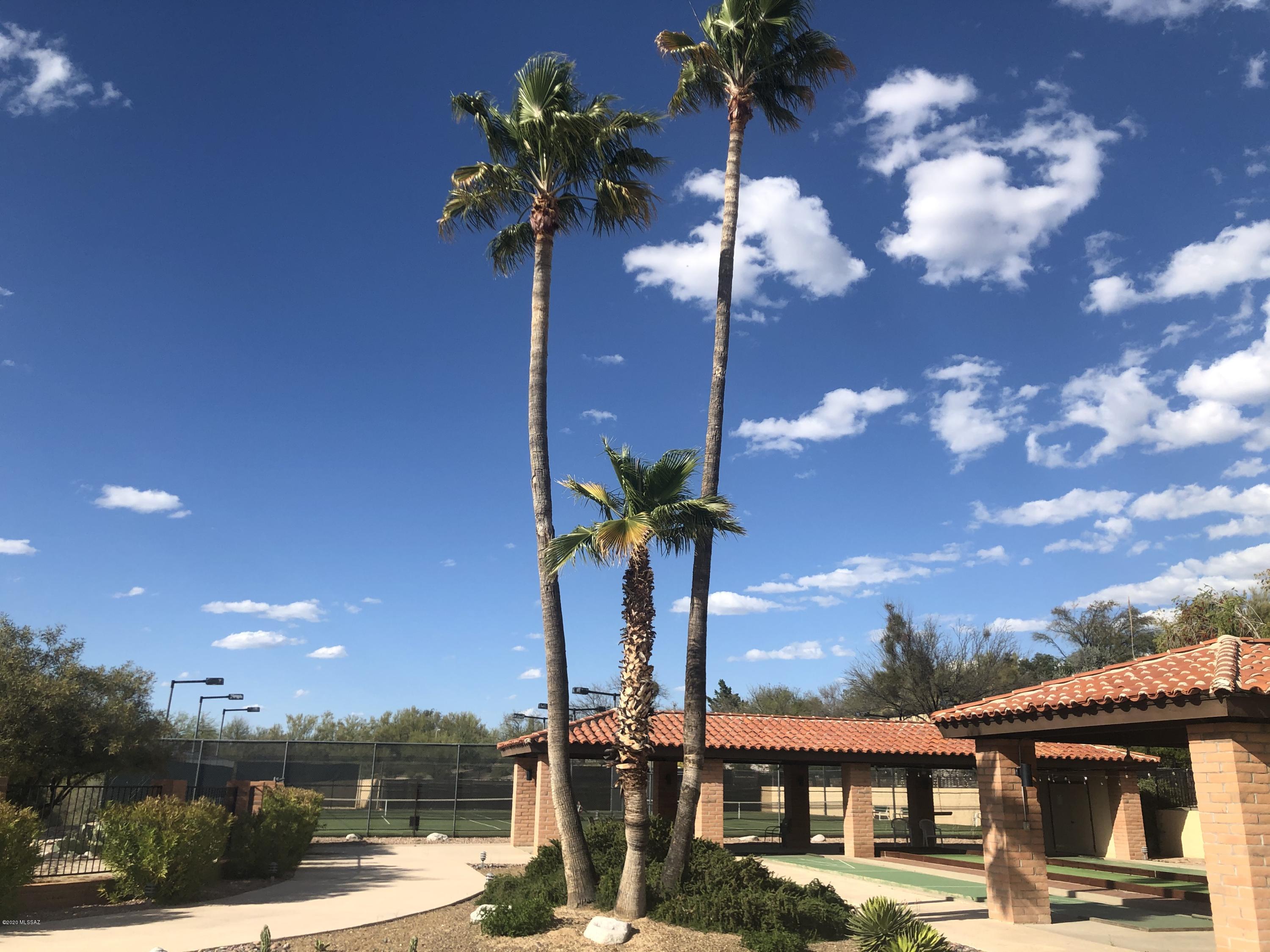 La Cholla Hills(1-313) - Residential