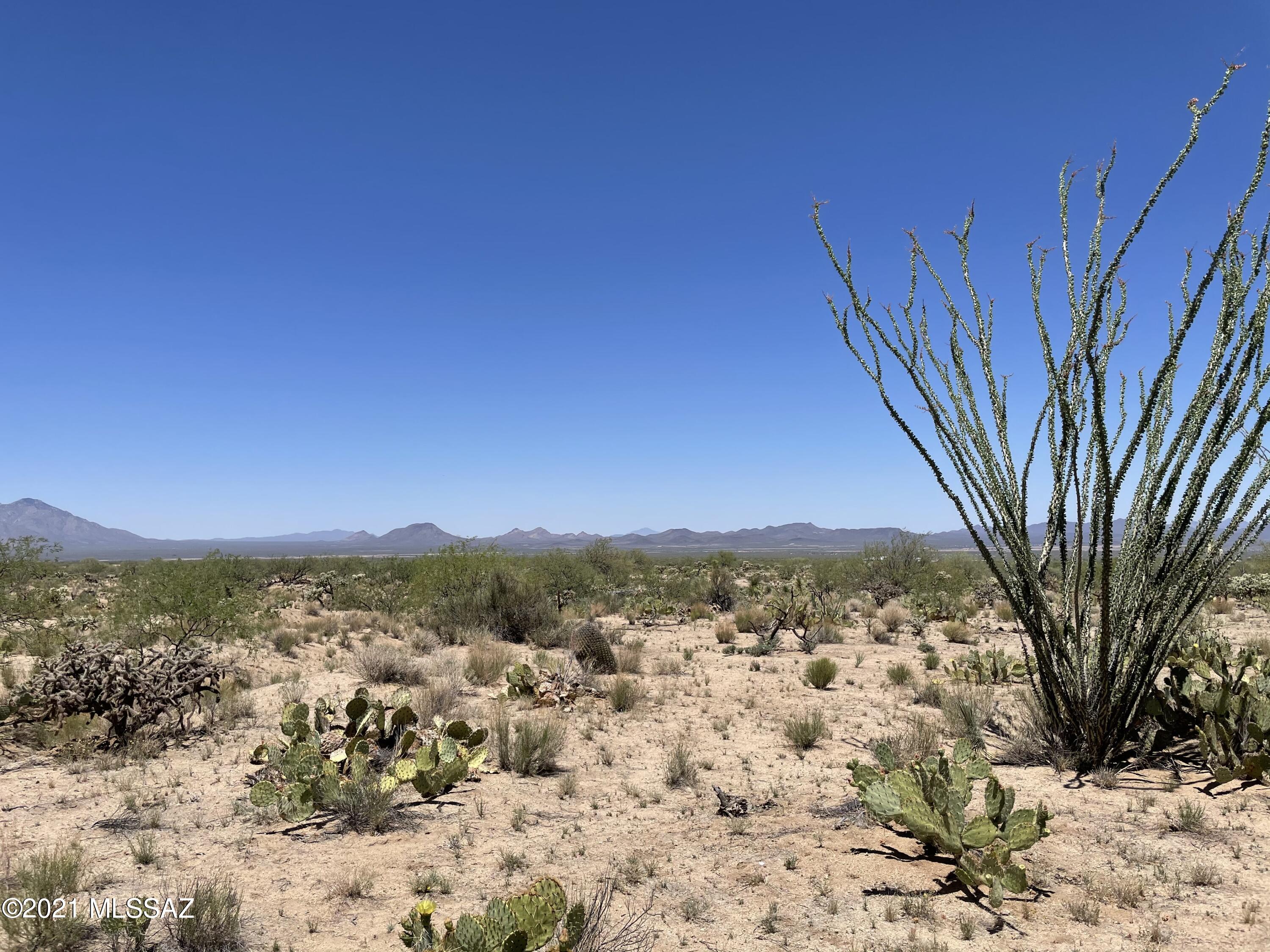 Buildable /flat lots to build your dream home, tiny home, or have for weekend getaways. Wildlife is abundant, javelinas, deer, bird watching. Ride quads, horses or take advantage of hiking to the mountain tops to see forever and watch the sunsets! Priced to sell quick! Will need to bring a power source, and haul water.Can be sold with adjacent lot 355 13841 Harold.Call listing agent with any questions!