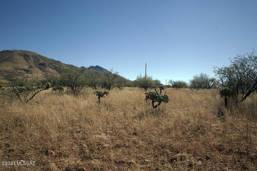 Rio Rico Ranchettes 18 - Land