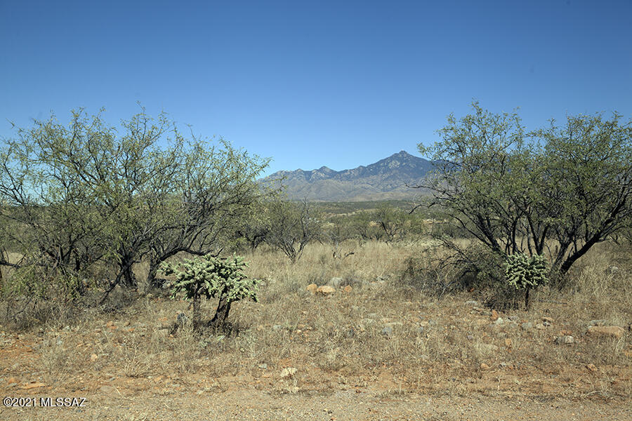 View property available in NE Rio Rico, surrounded by wide open mountain views. Generous lot with room to build yoru custom home. Enjoy suouthern Arizona sunrise and sunsets.