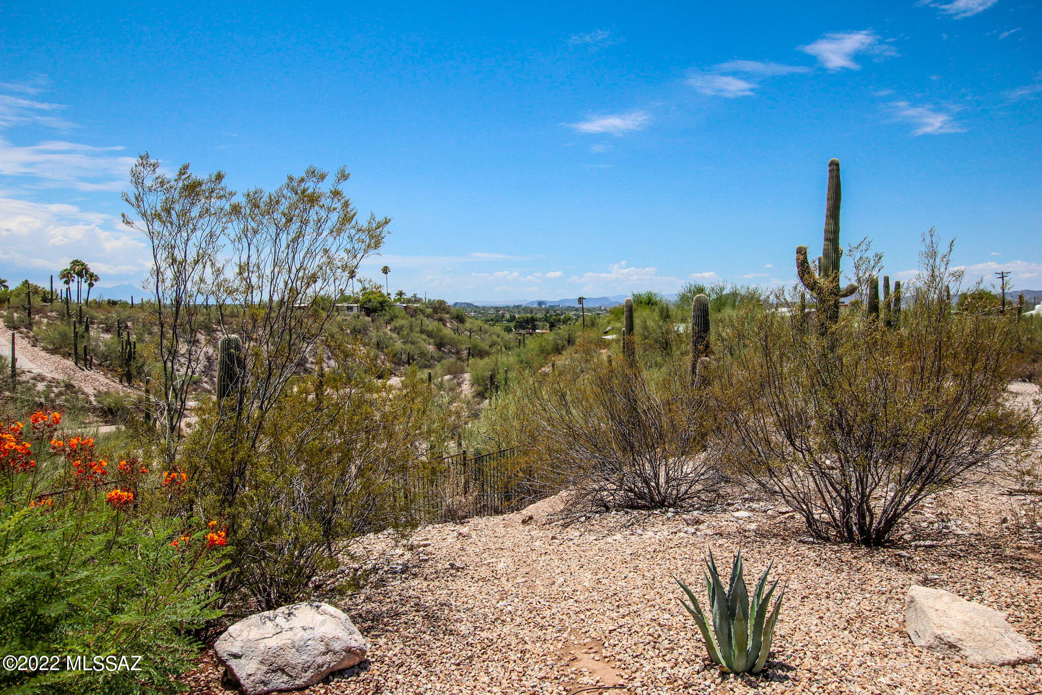 Catalina Foothills Estates NO. 2 - Residential