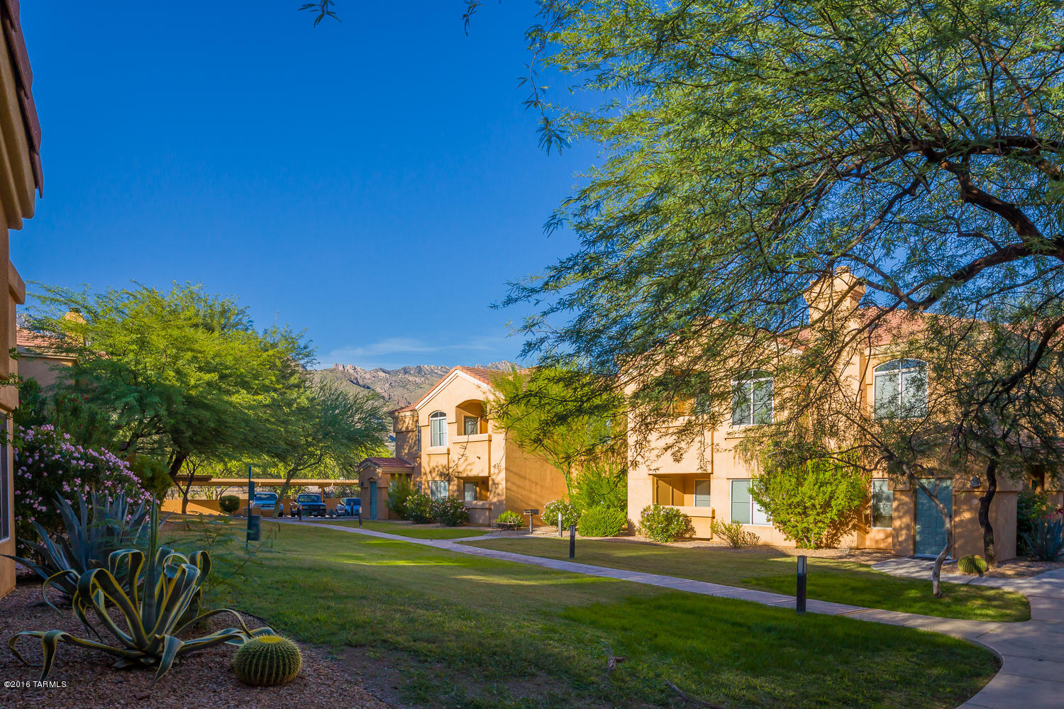 Pinnacle Canyon Condominium - Residential