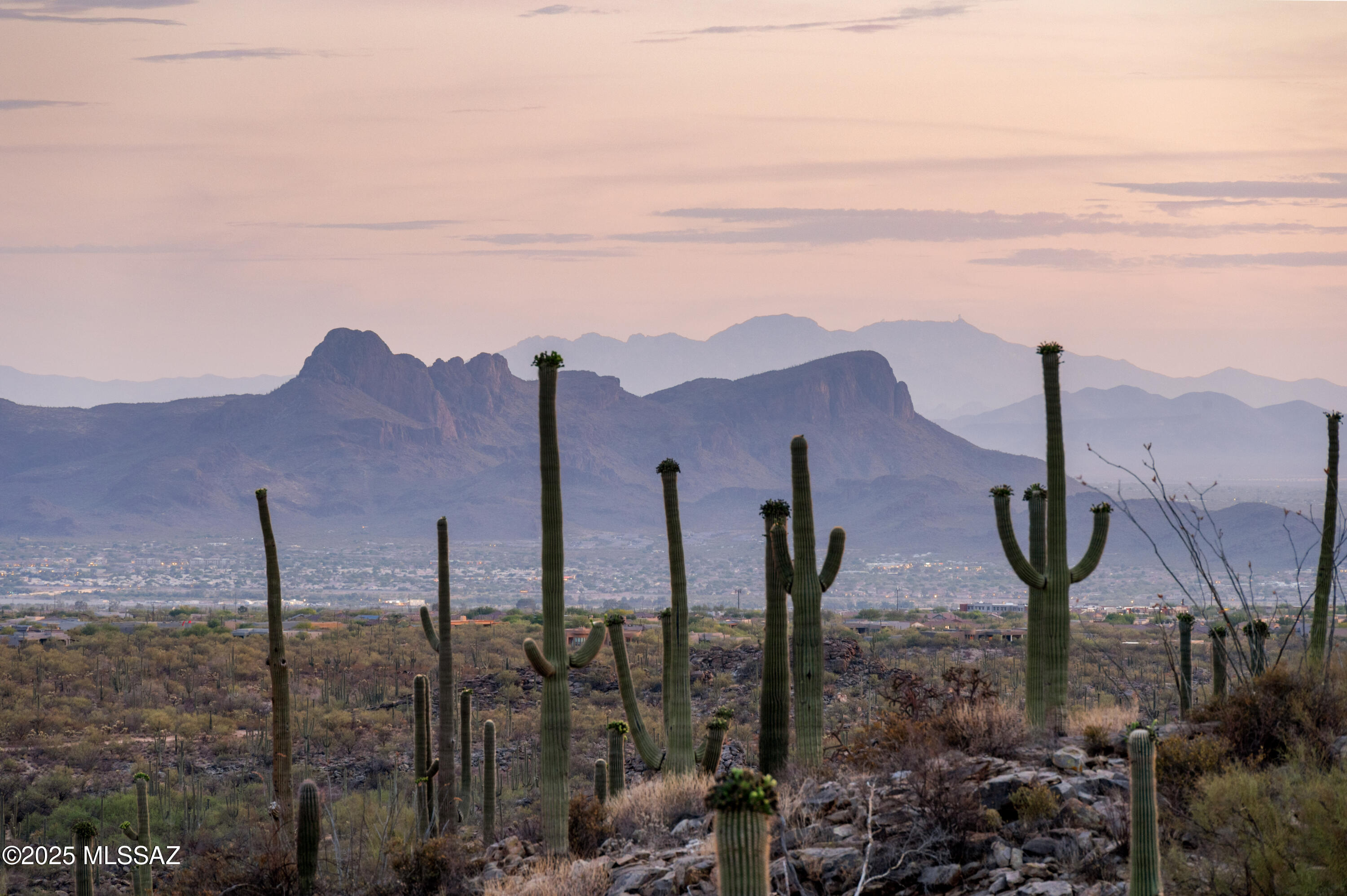 Saguaro Ranch (9-52) Blks. 1-4 - Land