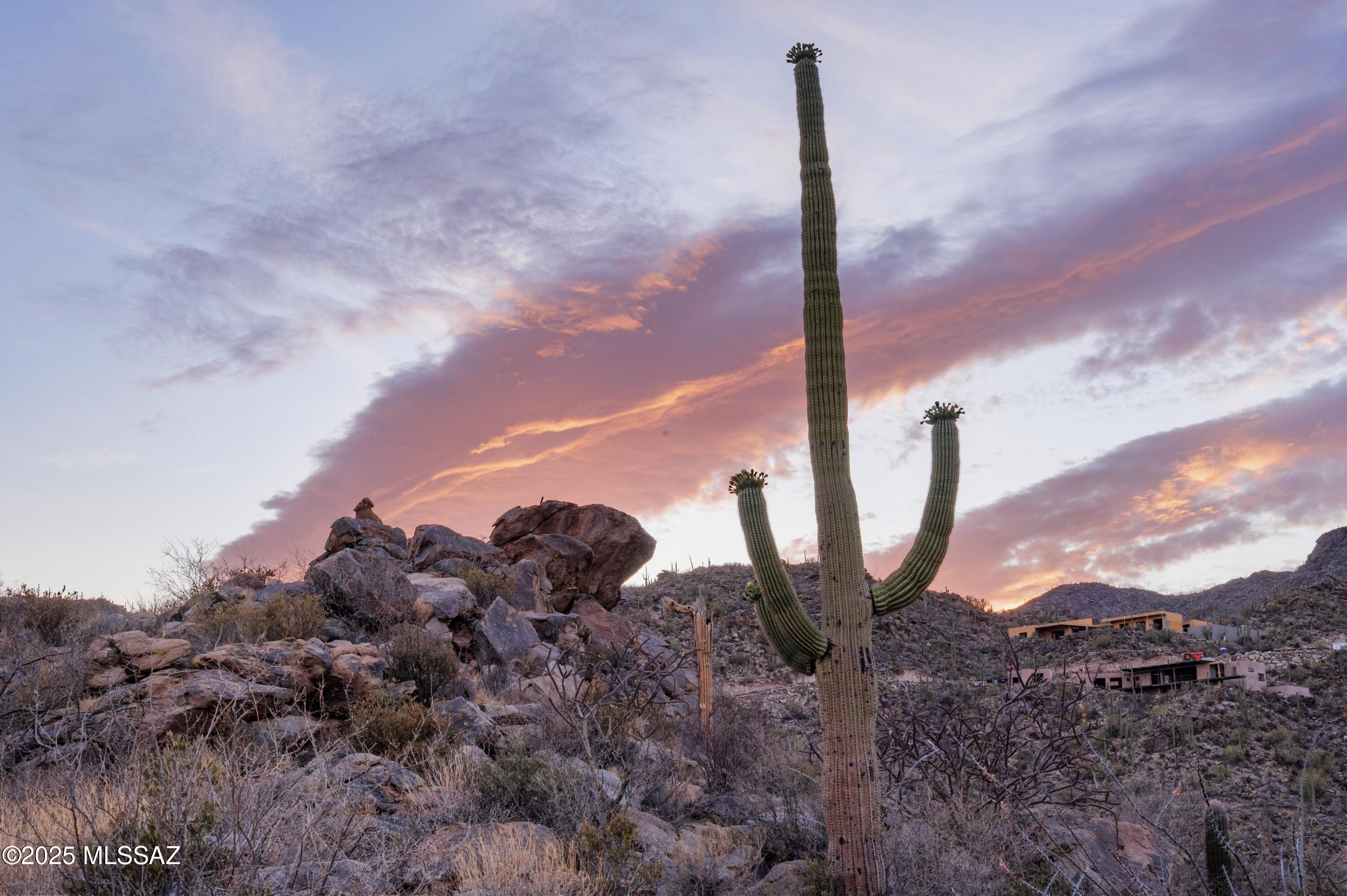 Saguaro Ranch (9-52) Blks. 1-4 - Land