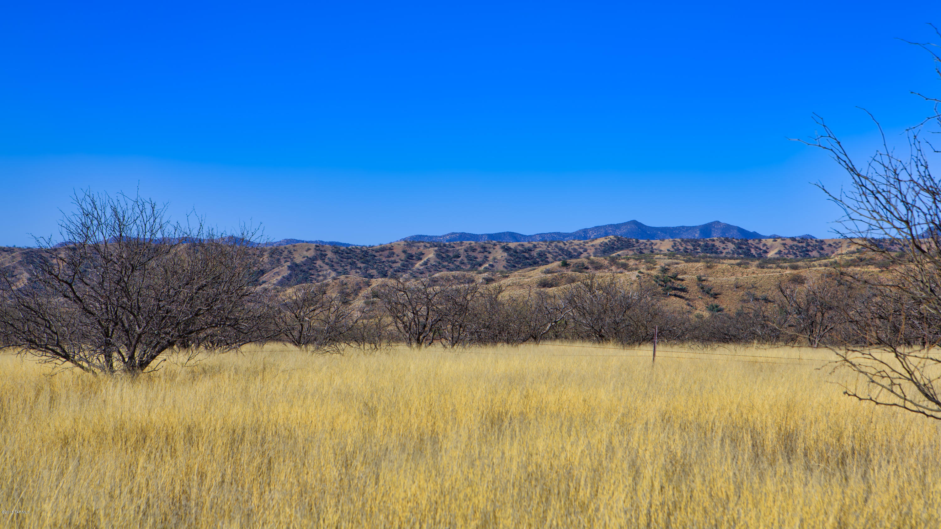Crown C Ranch - Land