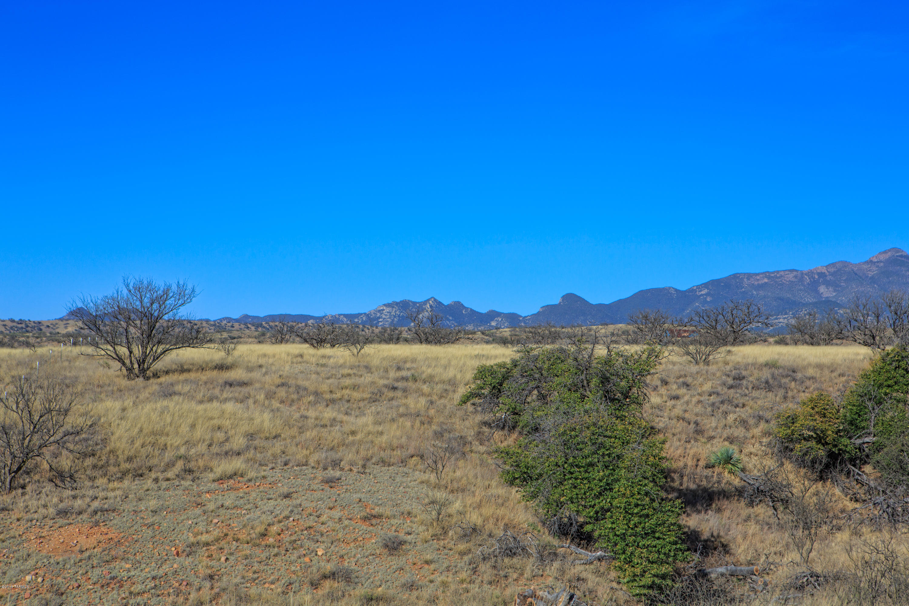 Crown C Ranch - Land