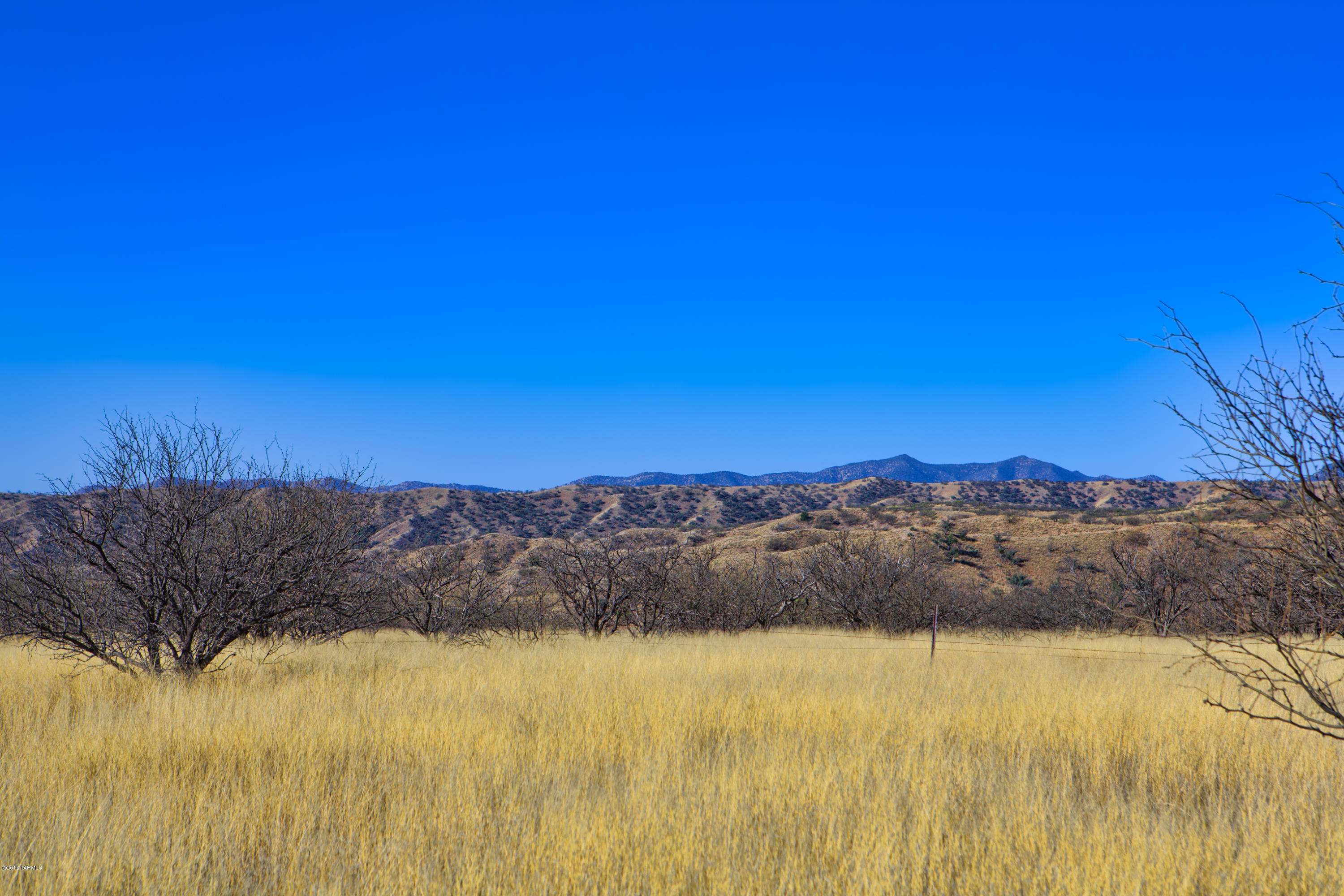 Crown C Ranch - Land