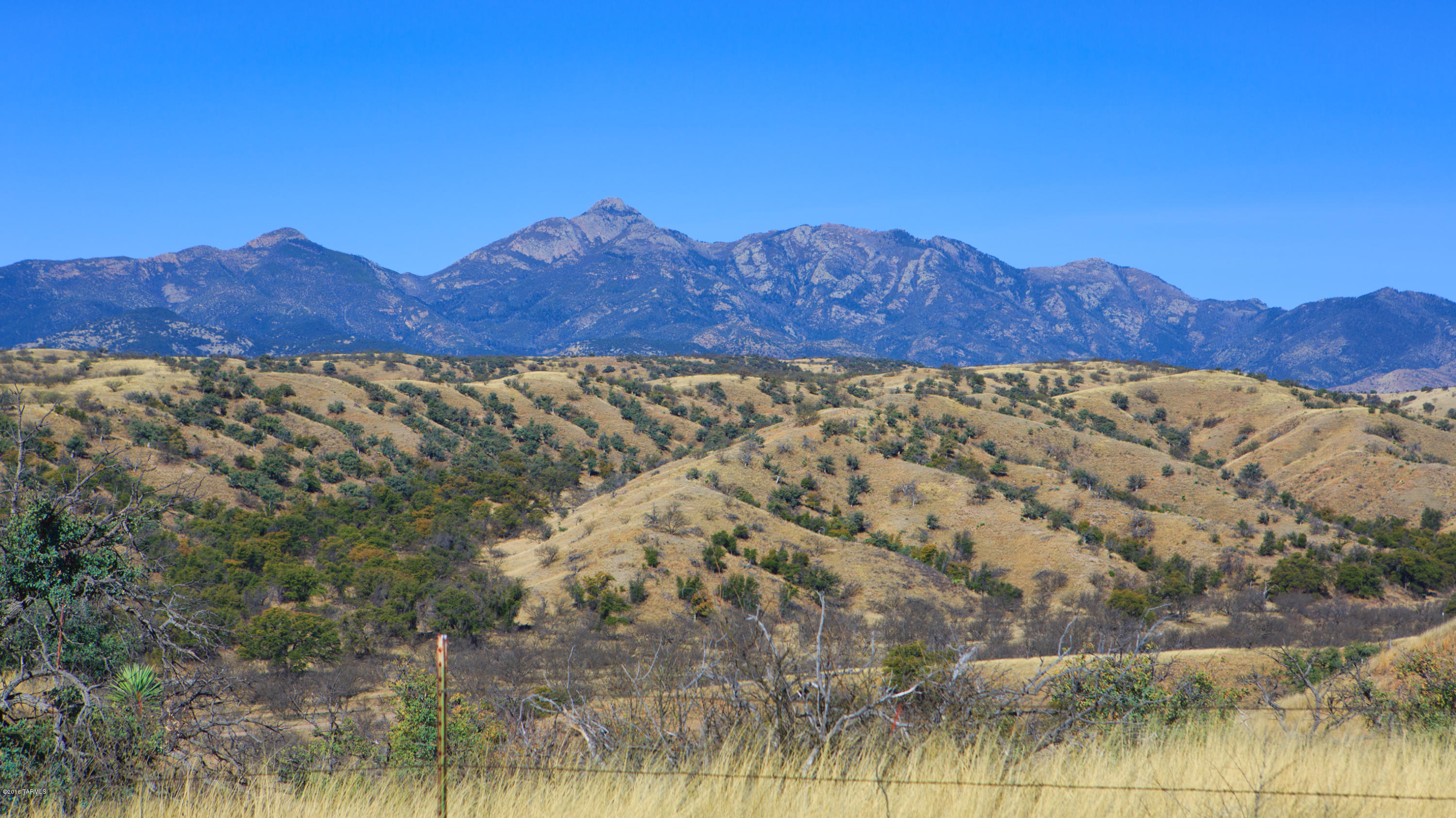 Crown C Ranch - Land
