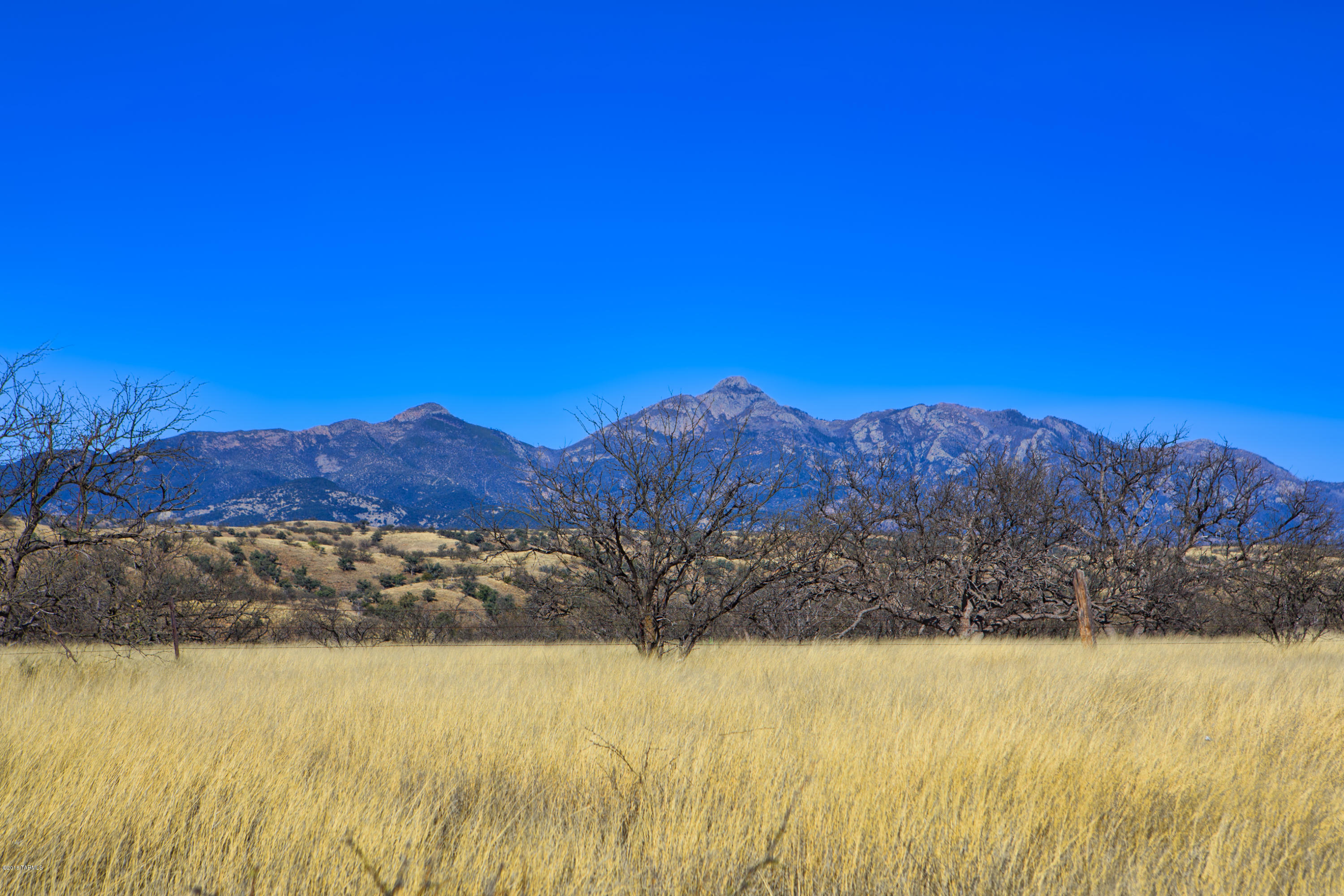 Crown C Ranch - Land