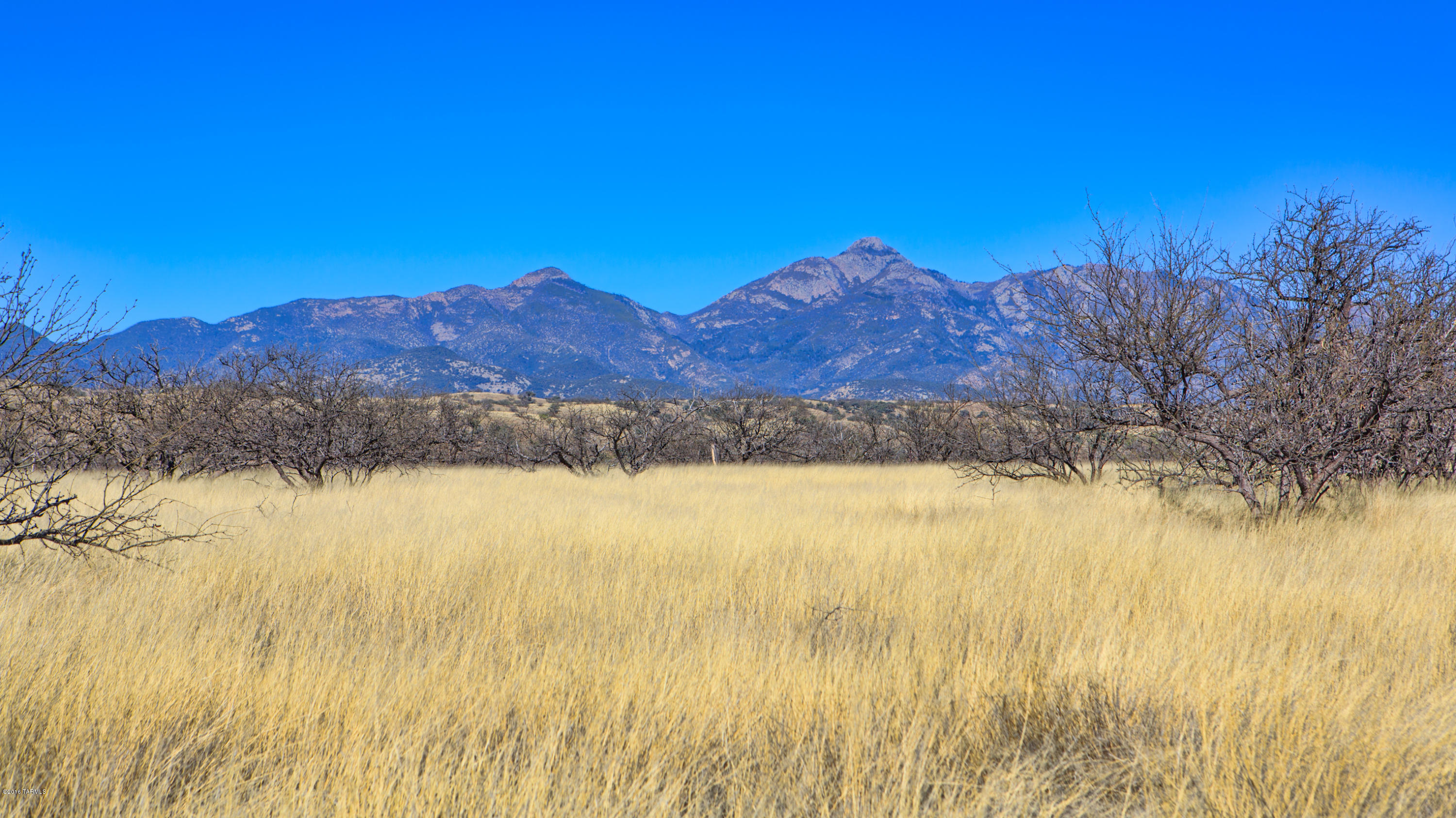 Crown C Ranch - Land