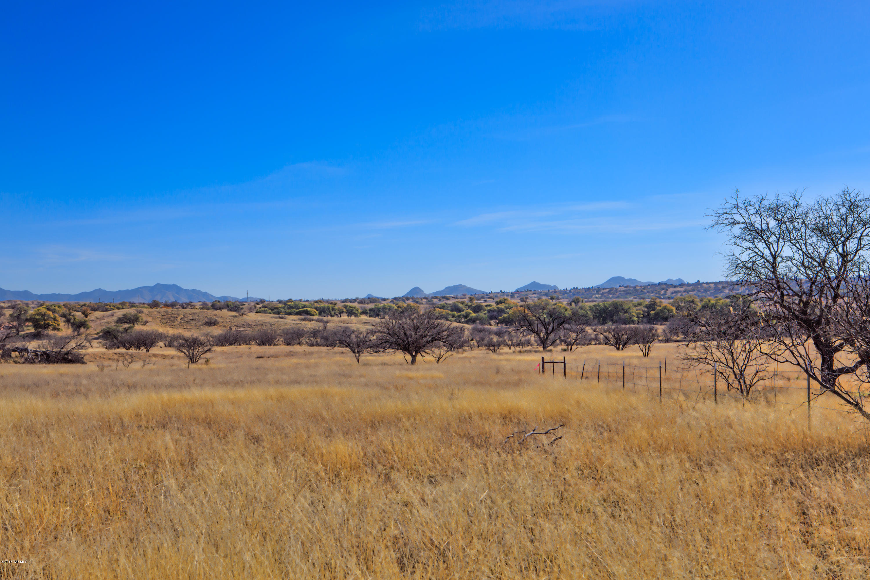 Crown C Ranch - Land