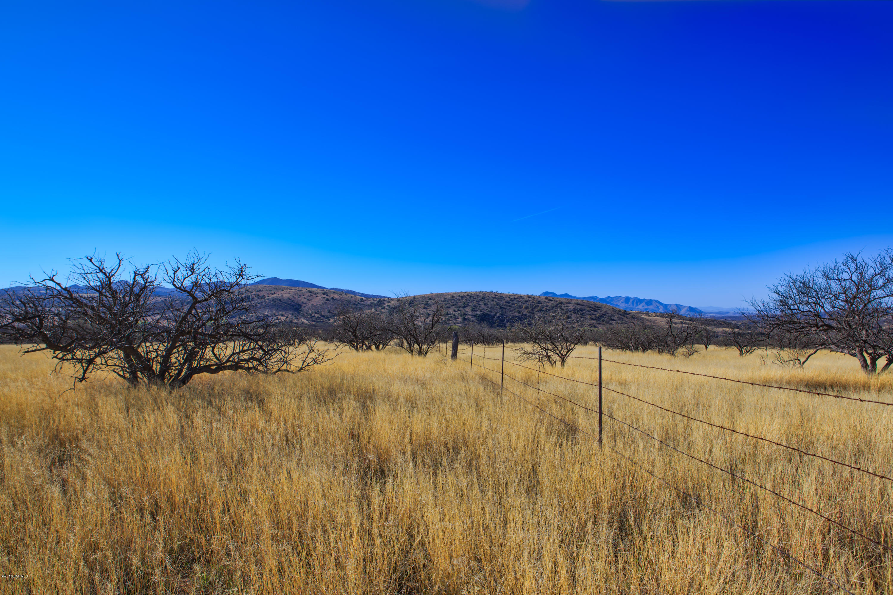Crown C Ranch - Land