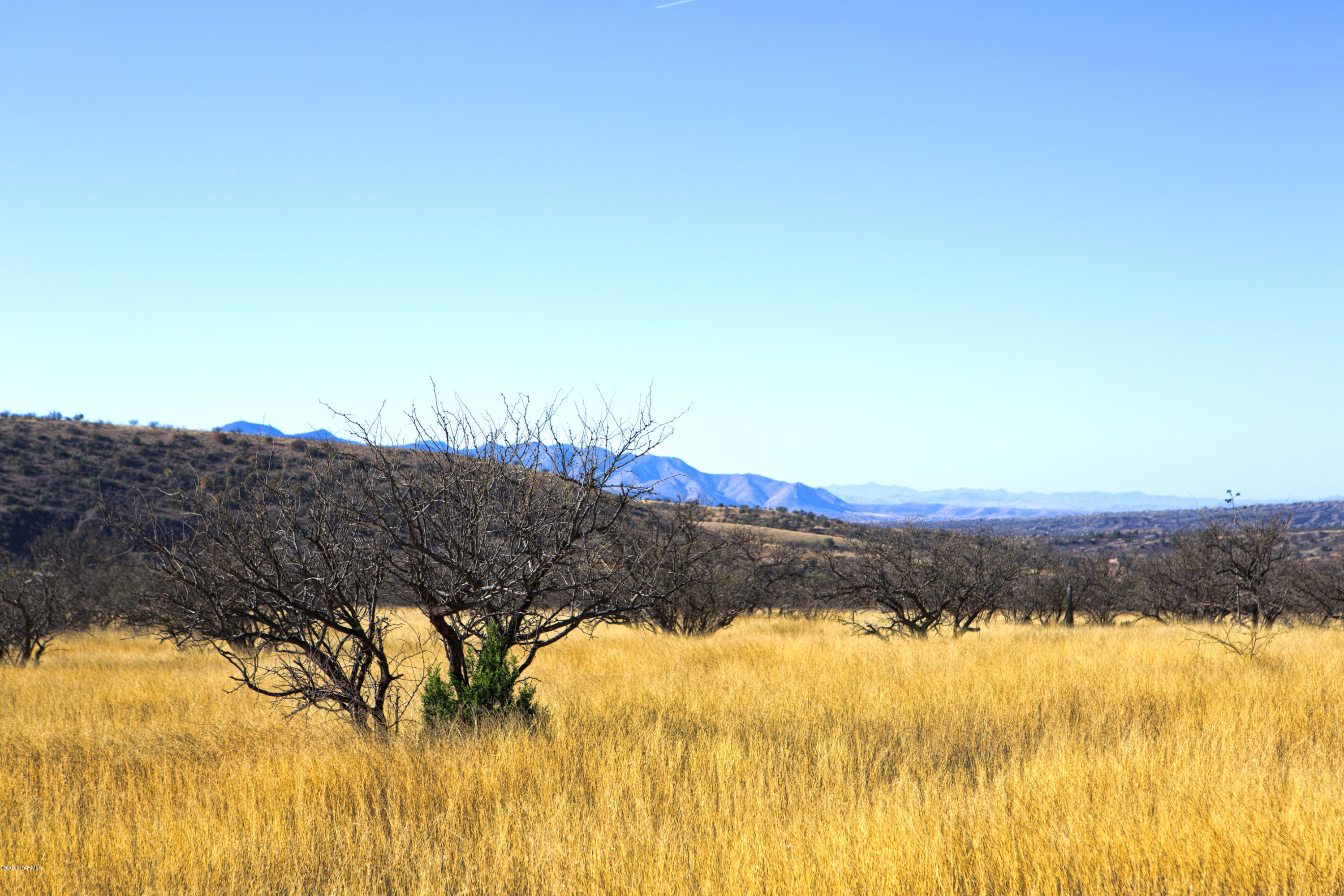 Crown C Ranch - Land