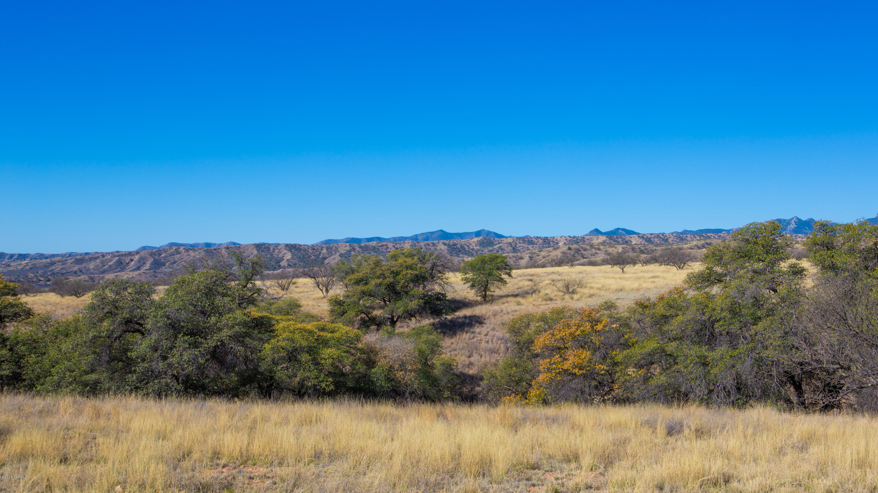 Crown C Ranch - Land