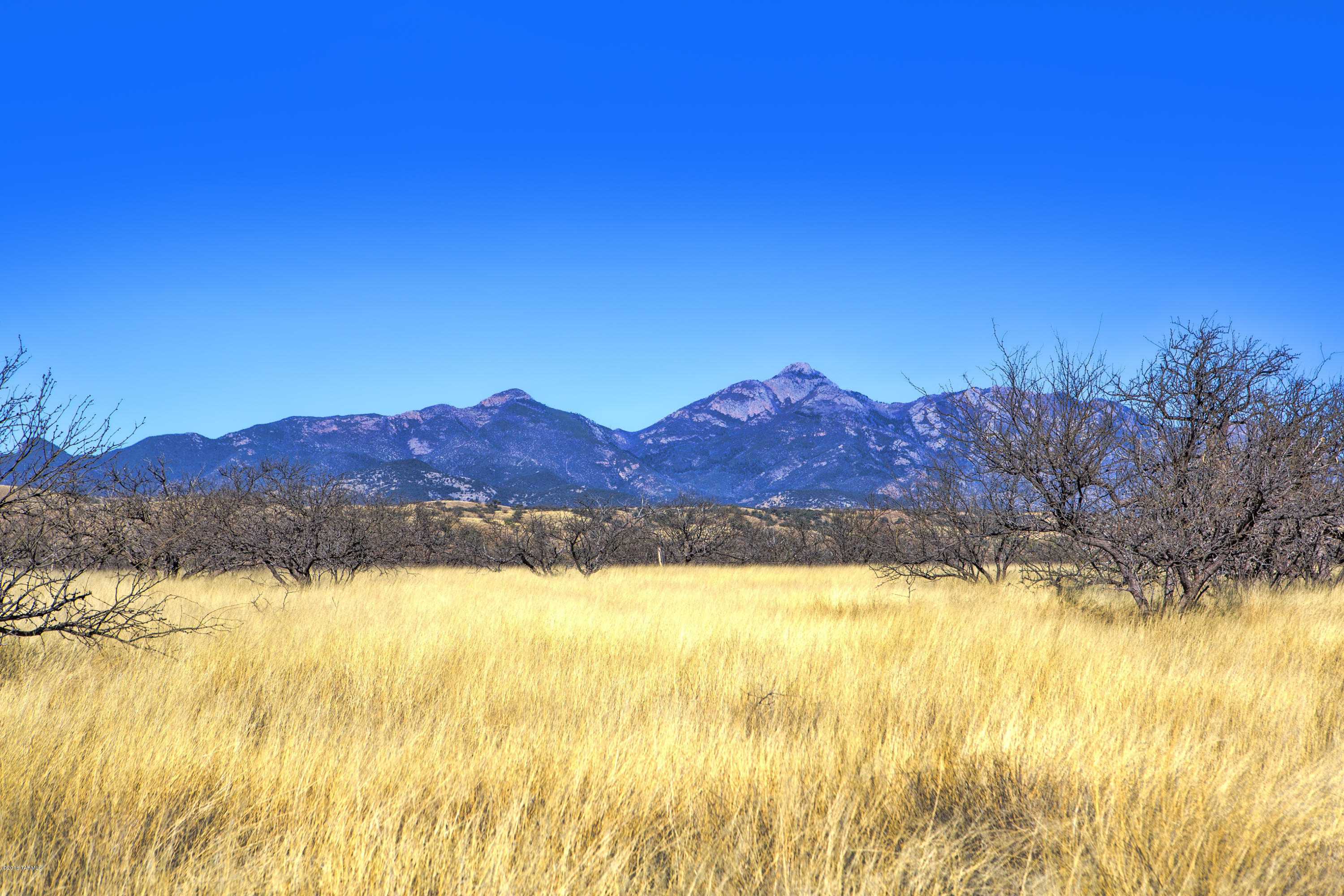 Crown C Ranch - Land