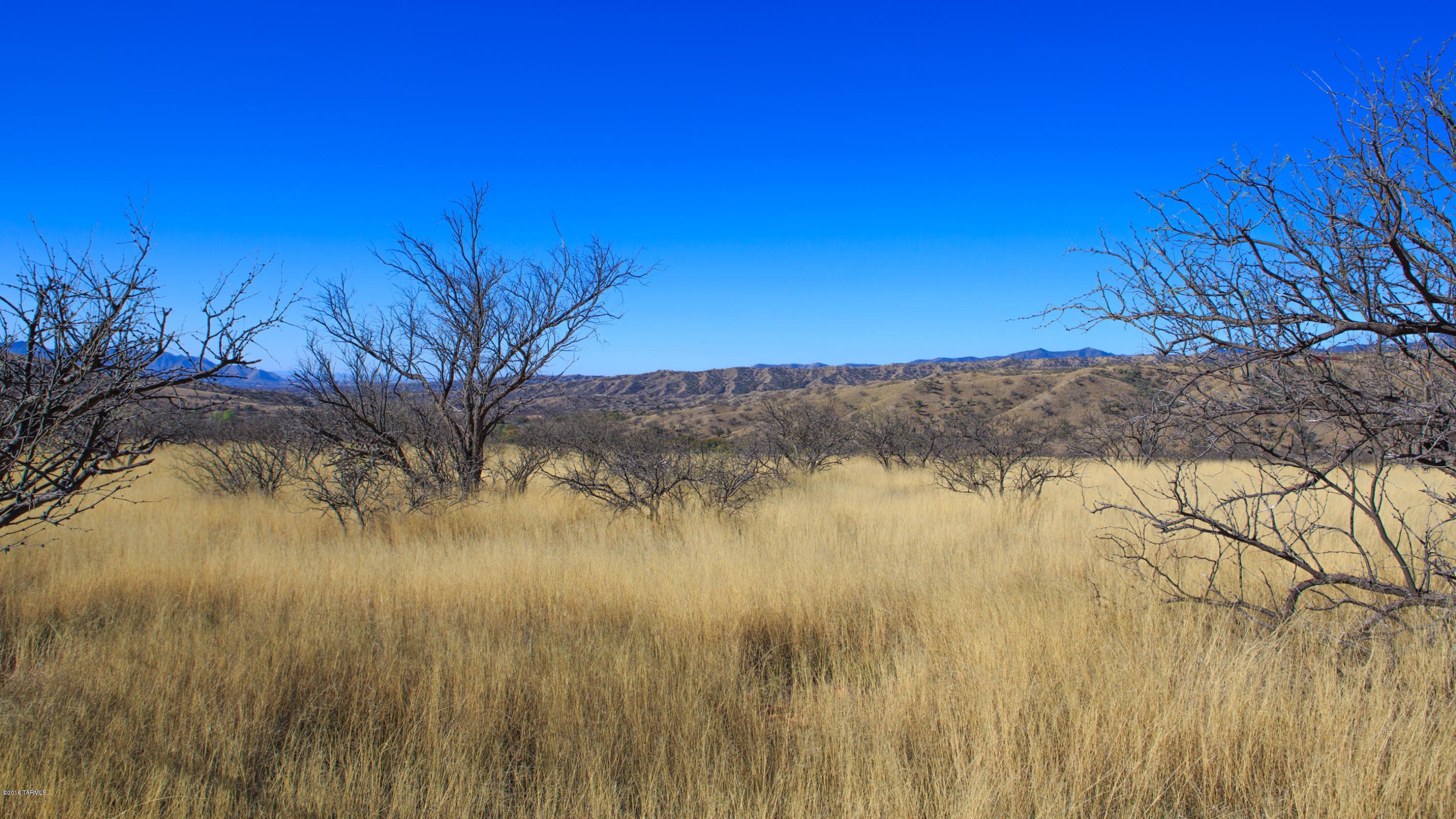 Crown C Ranch - Land