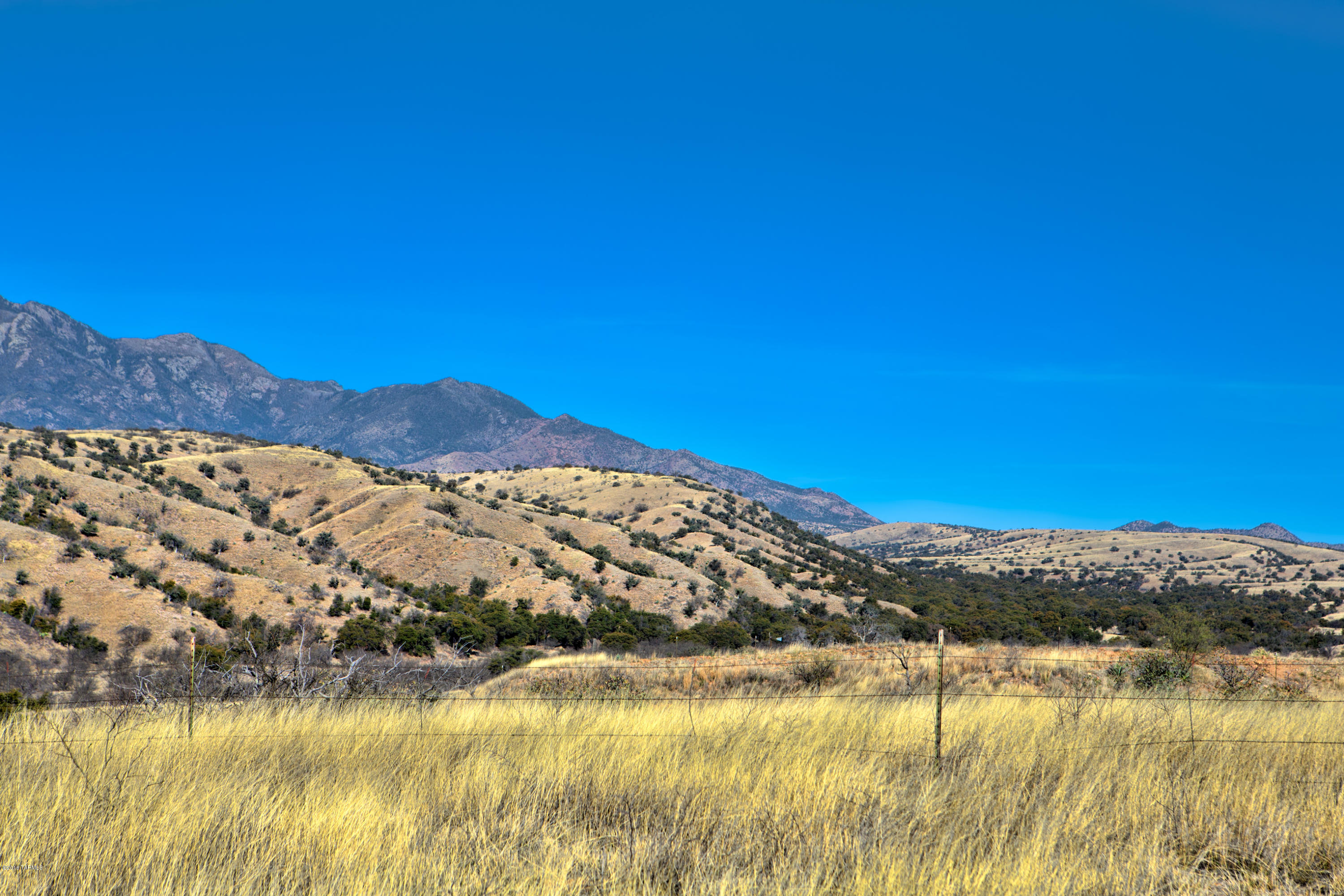 Crown C Ranch - Land