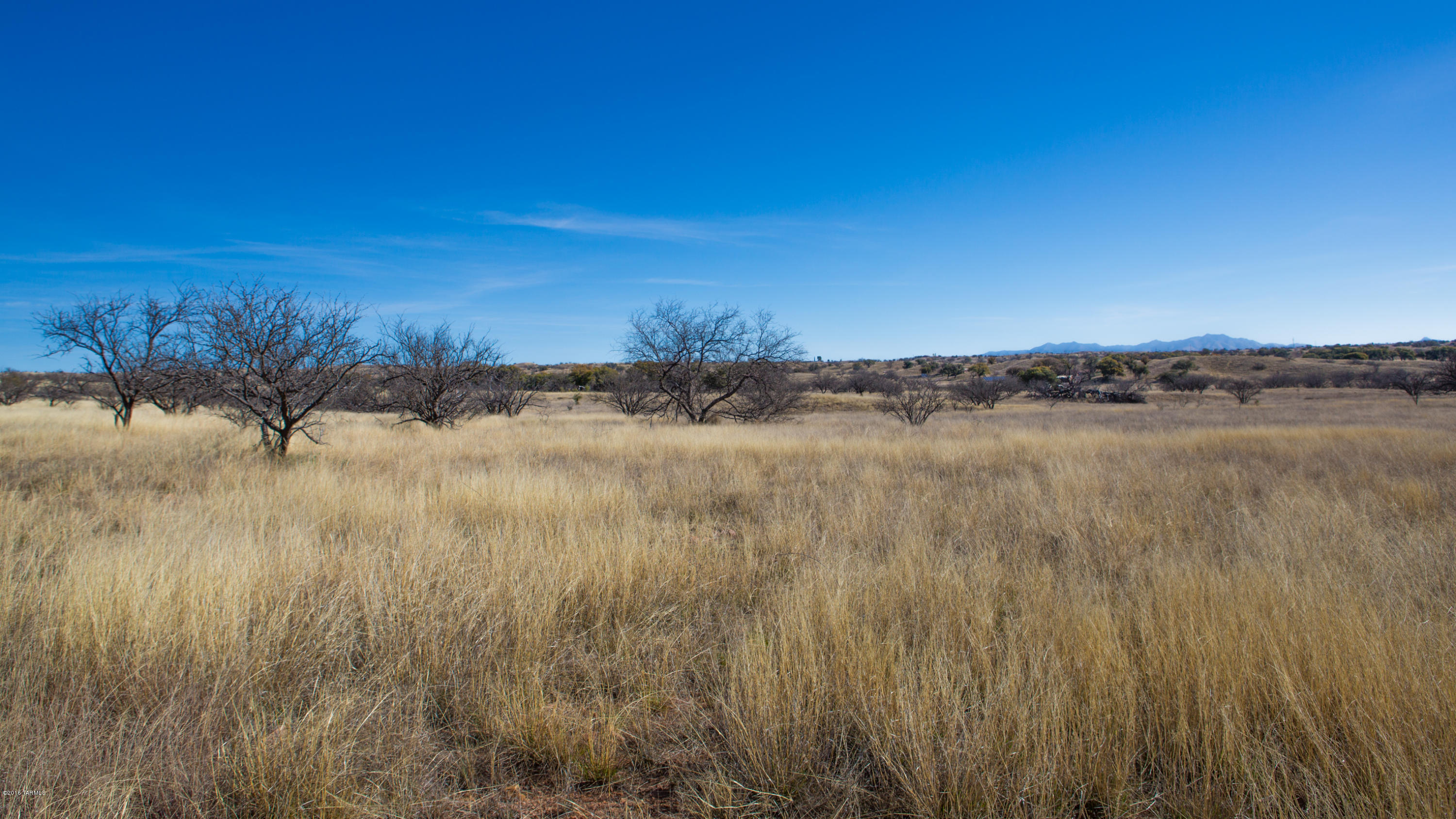 Crown C Ranch - Land
