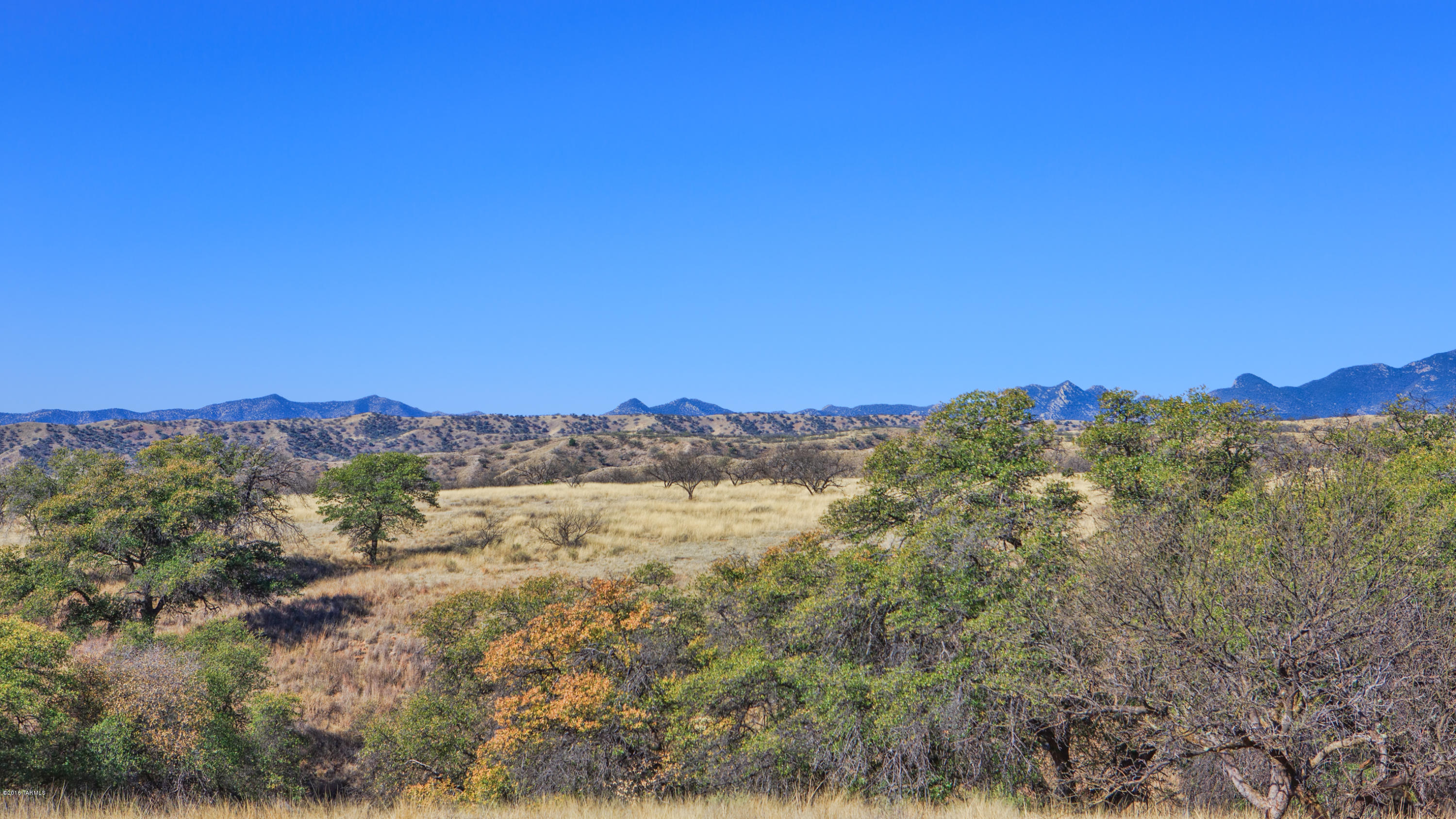 Crown C Ranch - Land