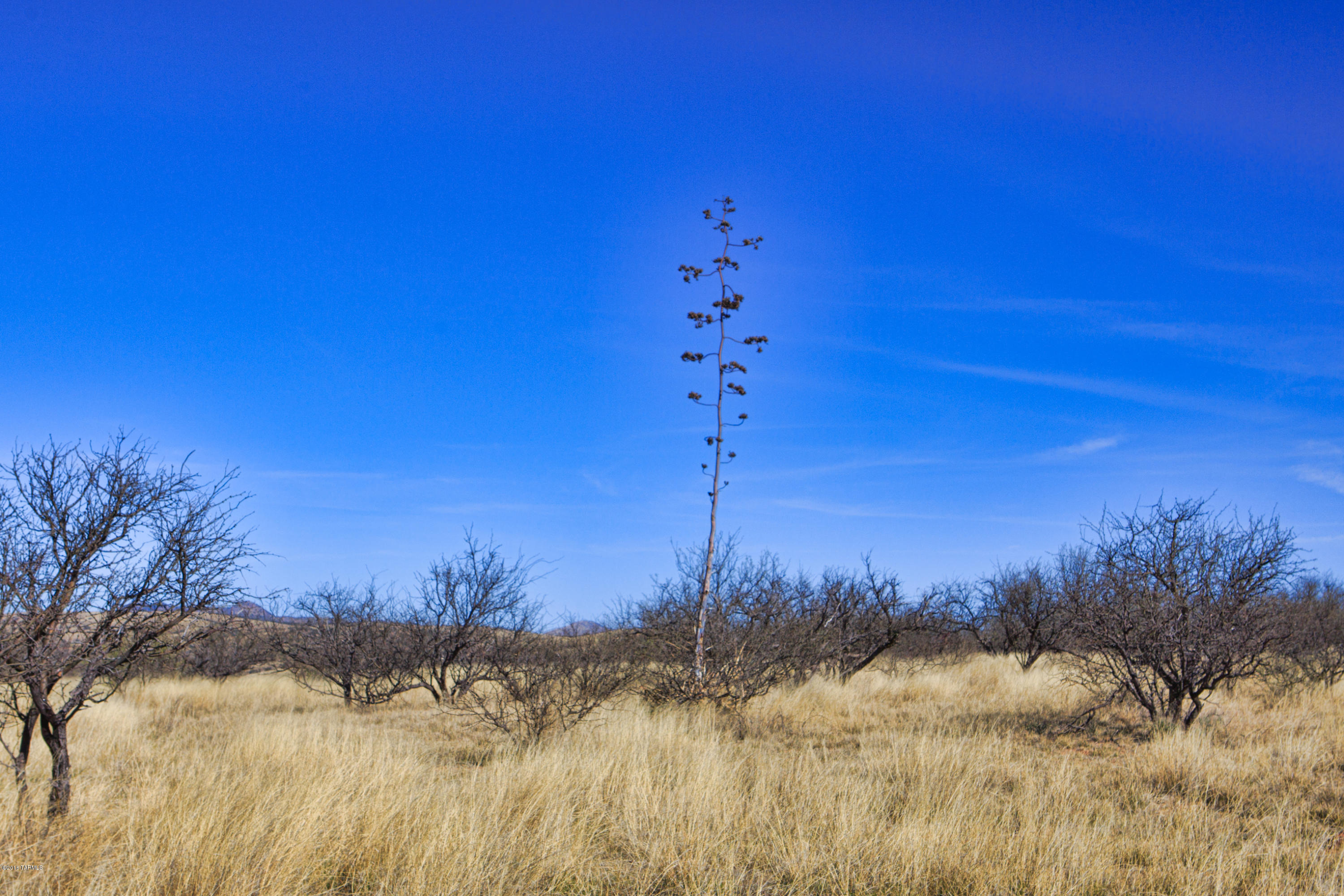 Crown C Ranch - Land