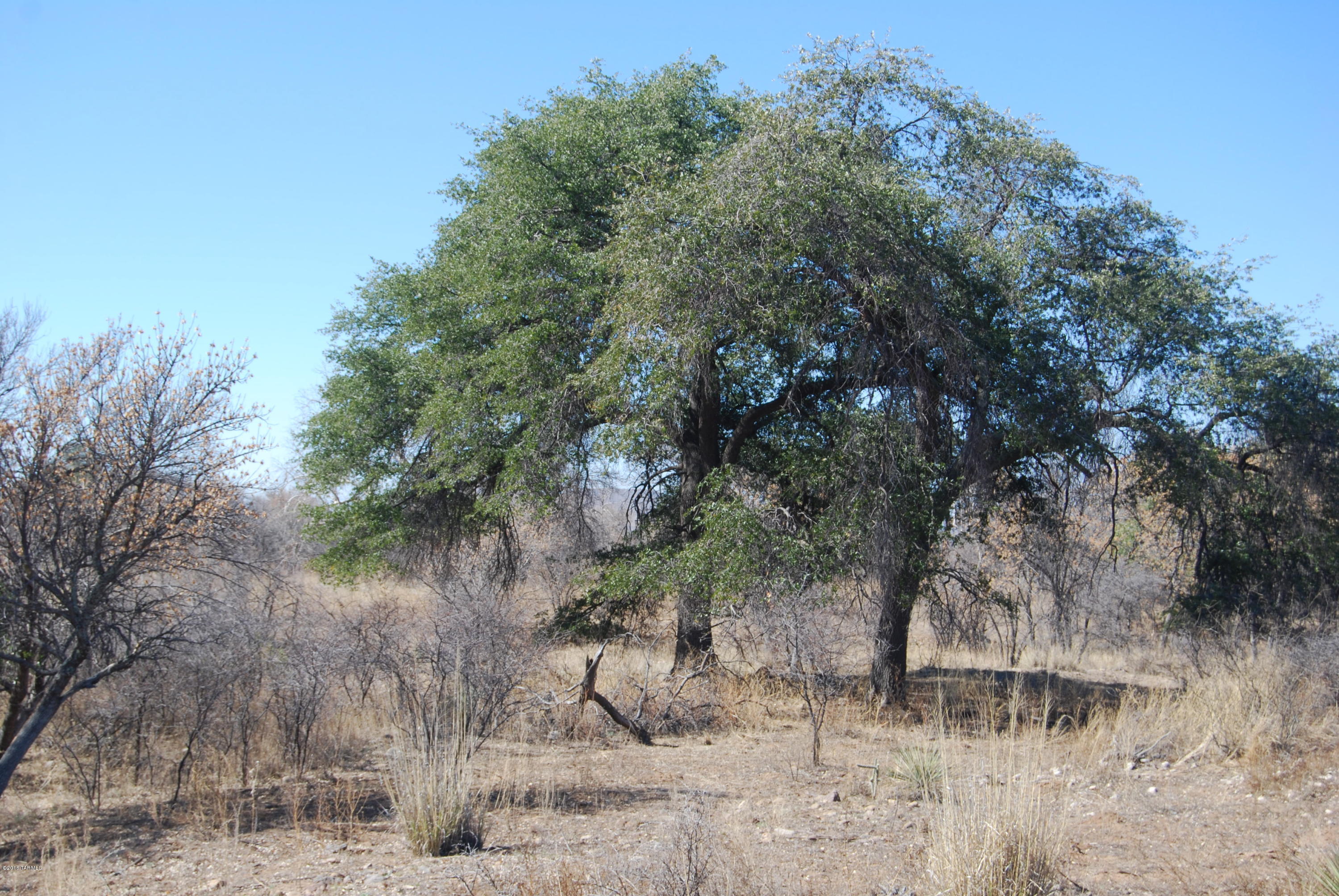 Turkey Creek Ranch - Land