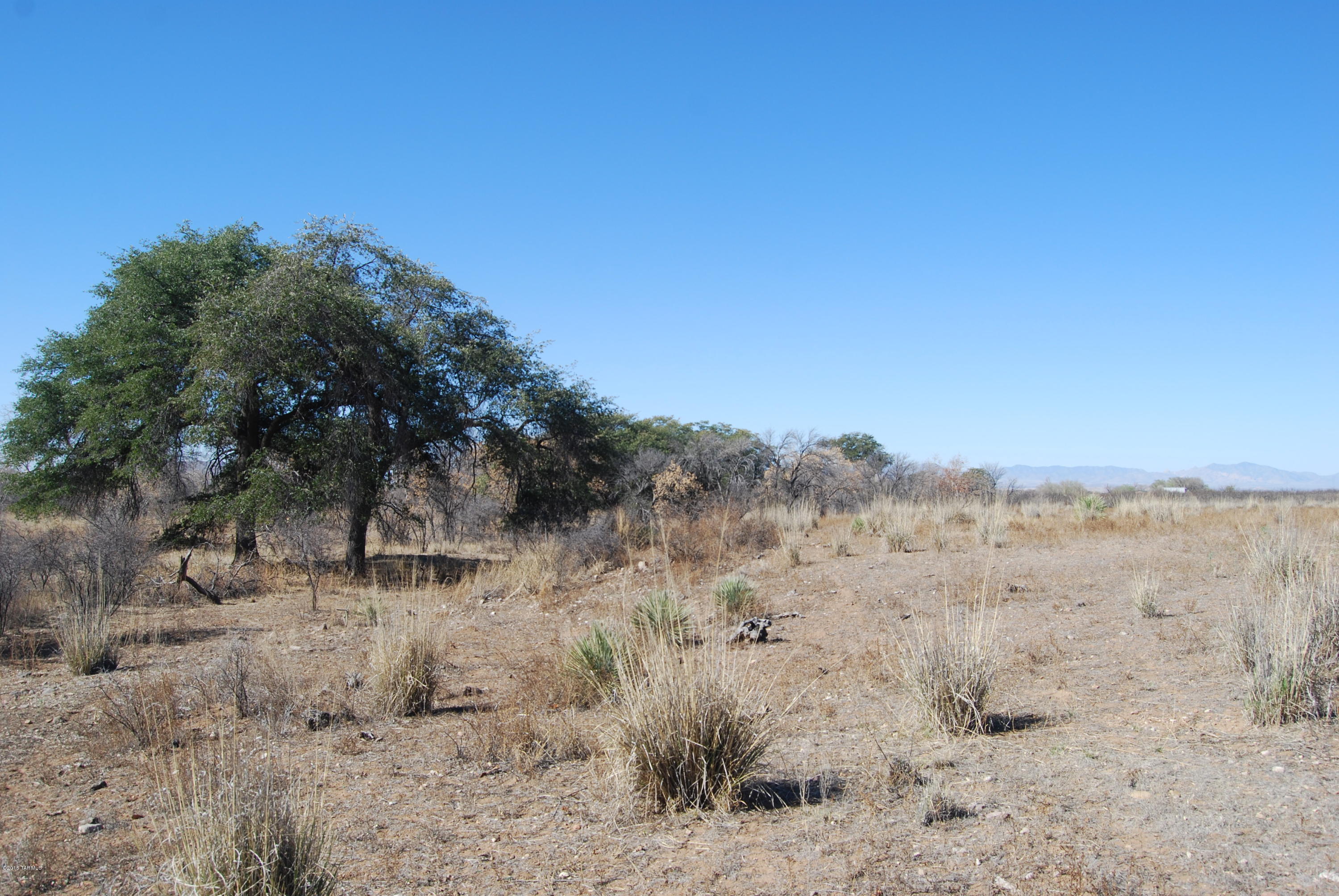 Turkey Creek Ranch - Land