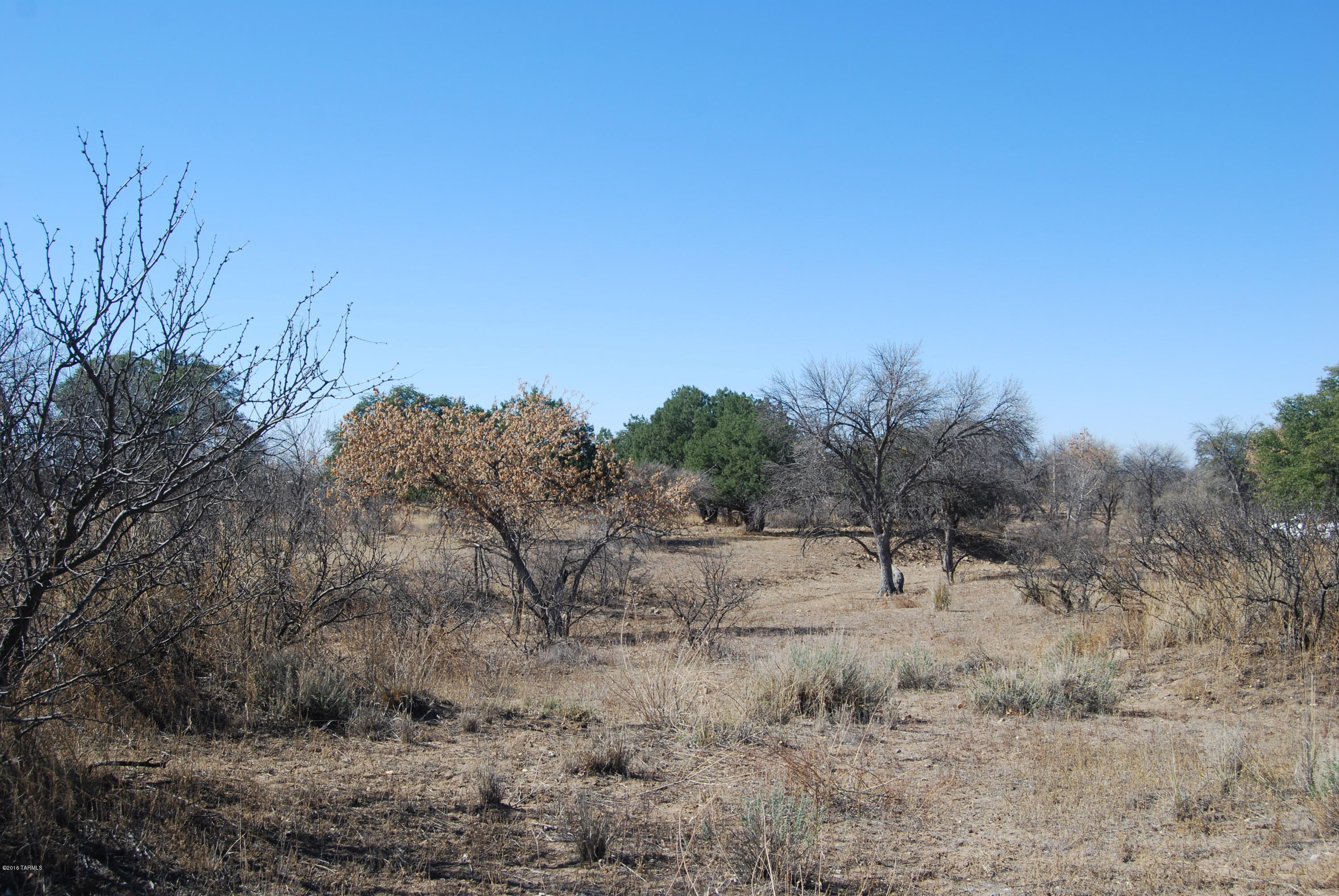 Turkey Creek Ranch - Land