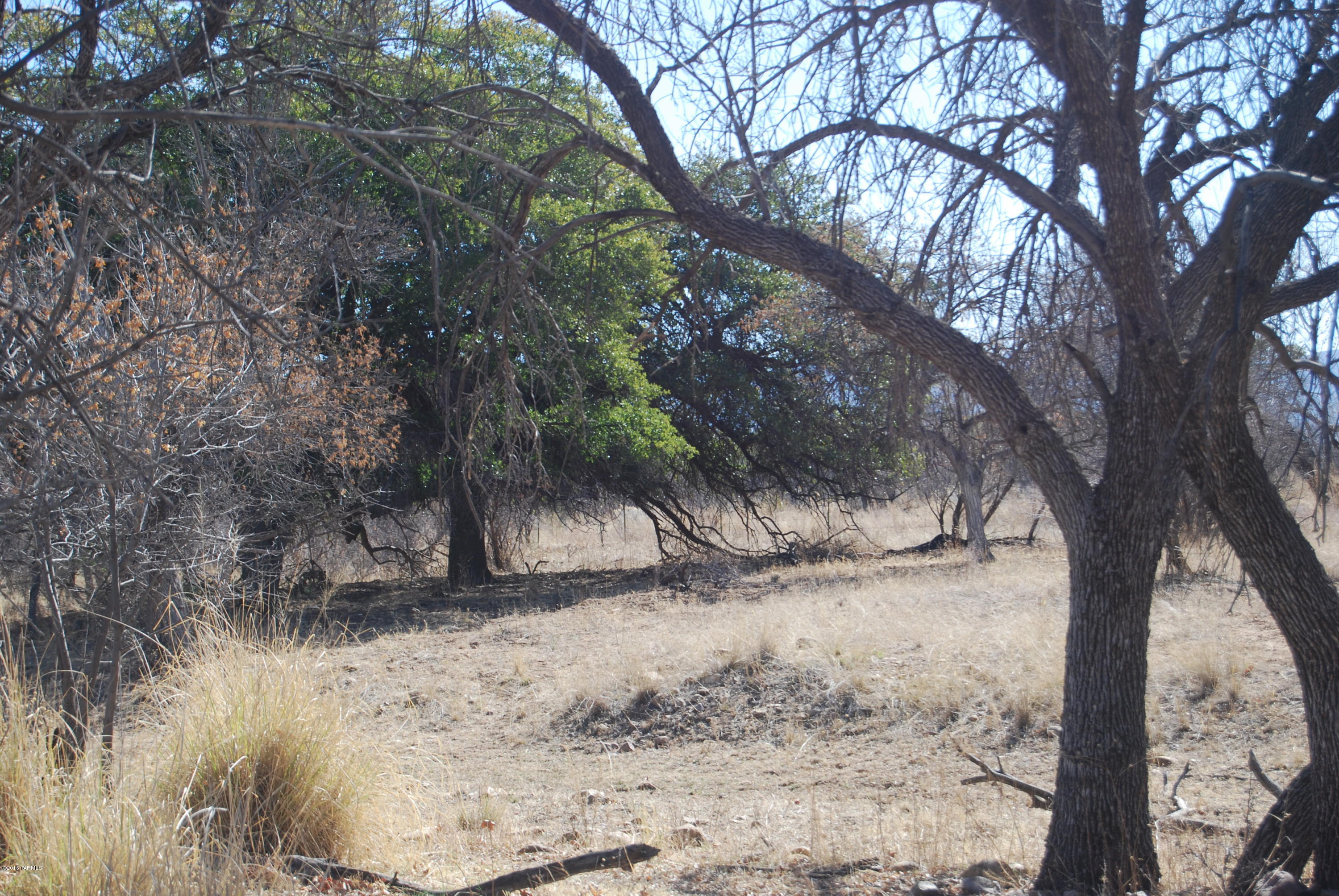 Turkey Creek Ranch - Land