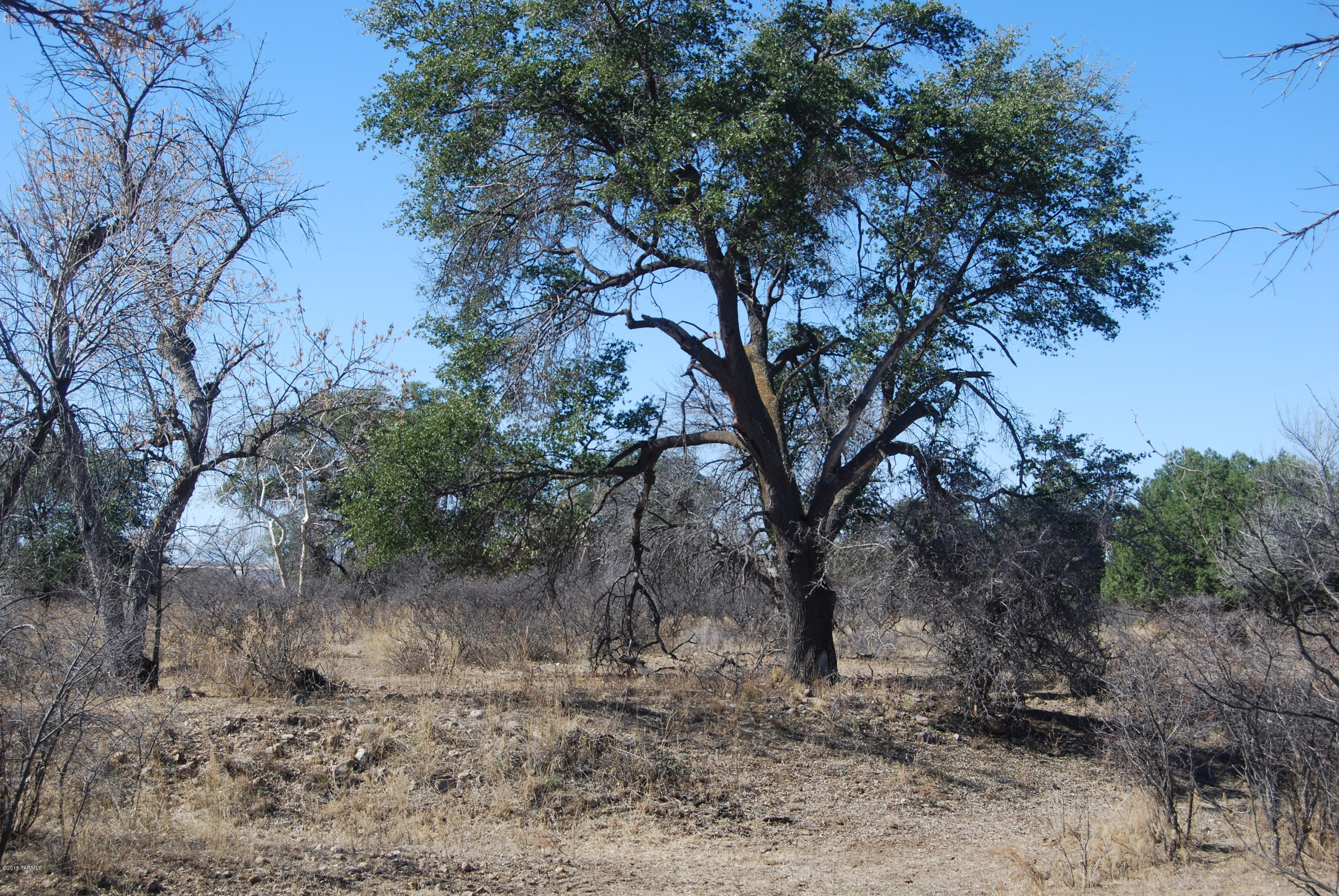 Turkey Creek Ranch - Land