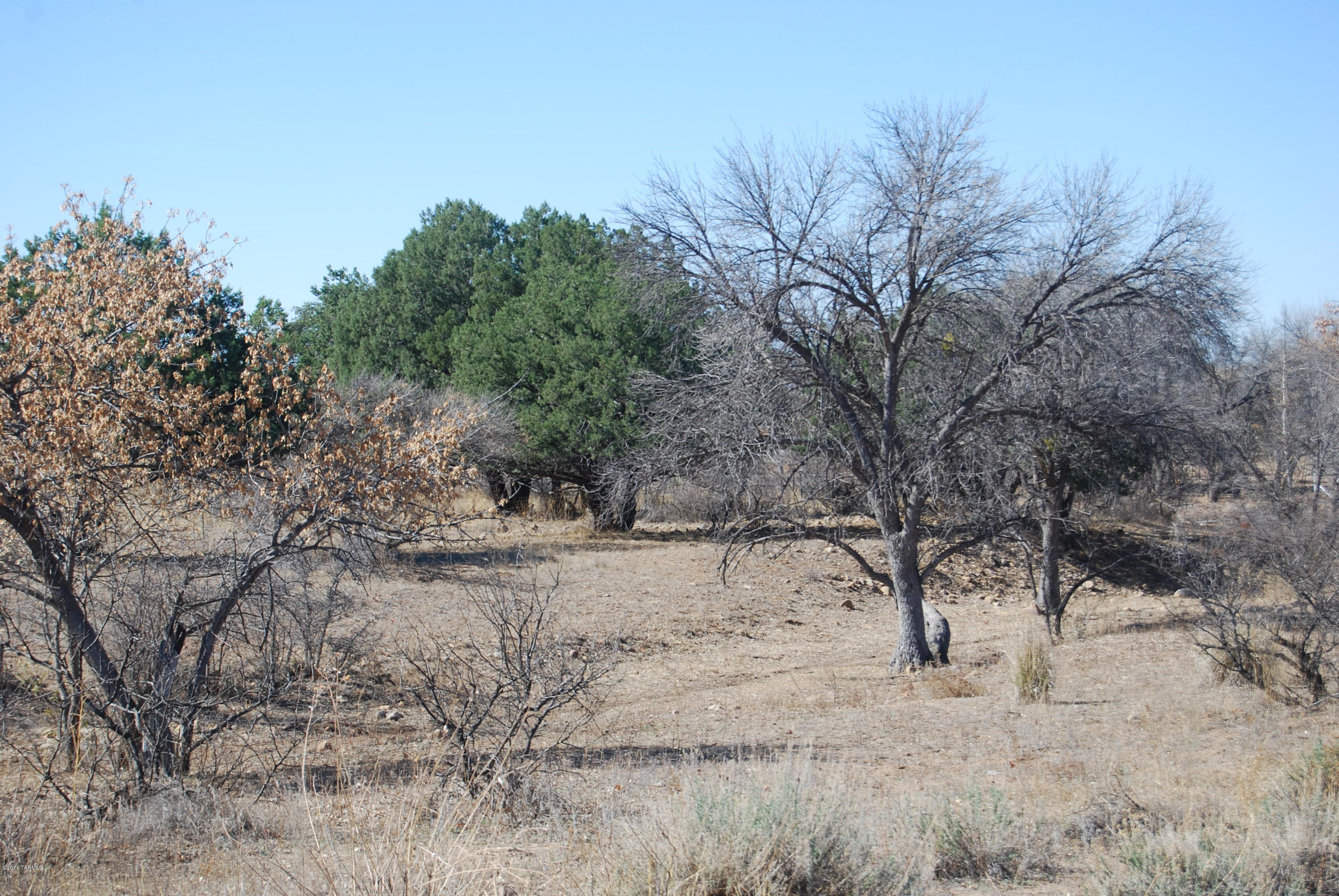Turkey Creek Ranch - Land