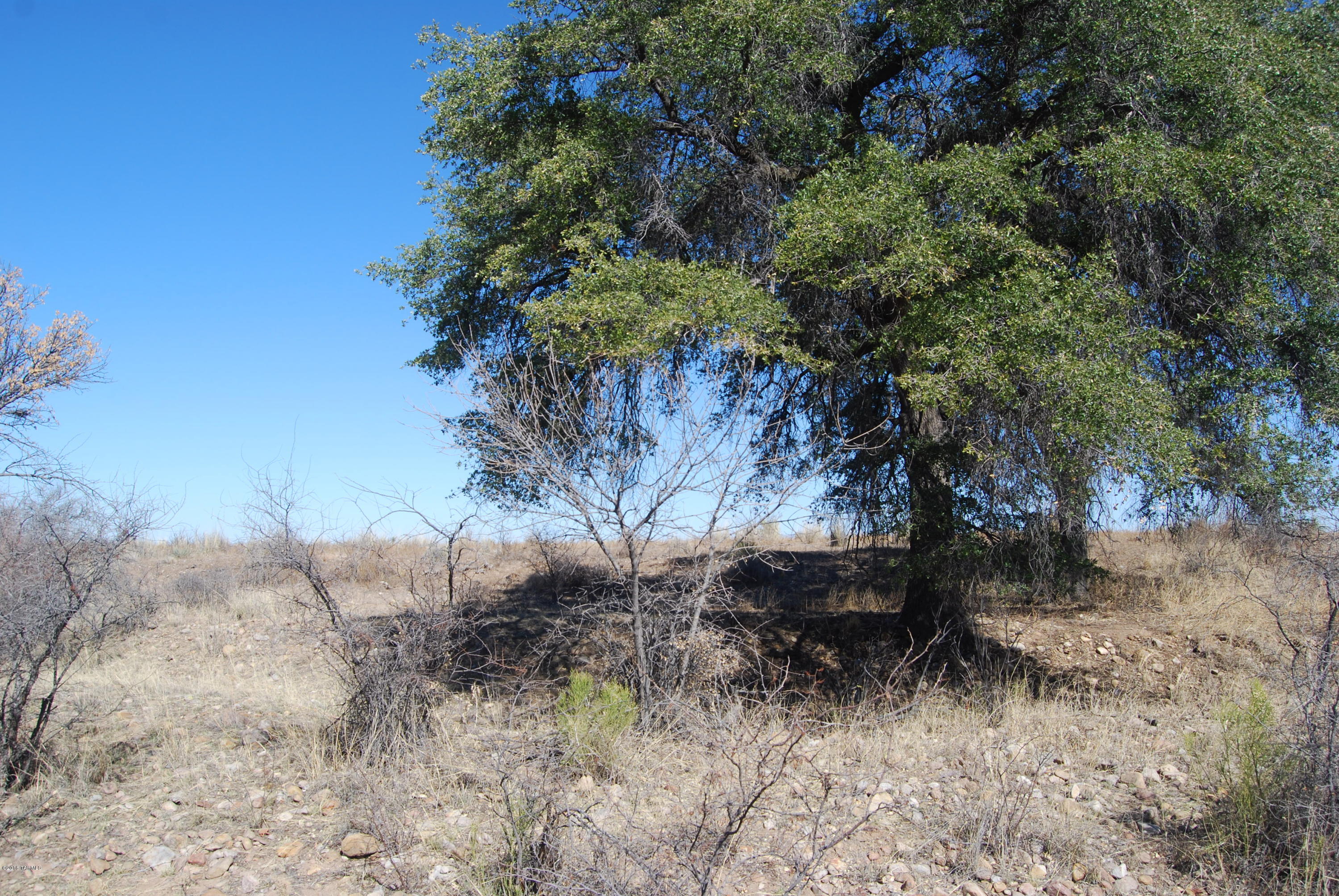 Turkey Creek Ranch - Land