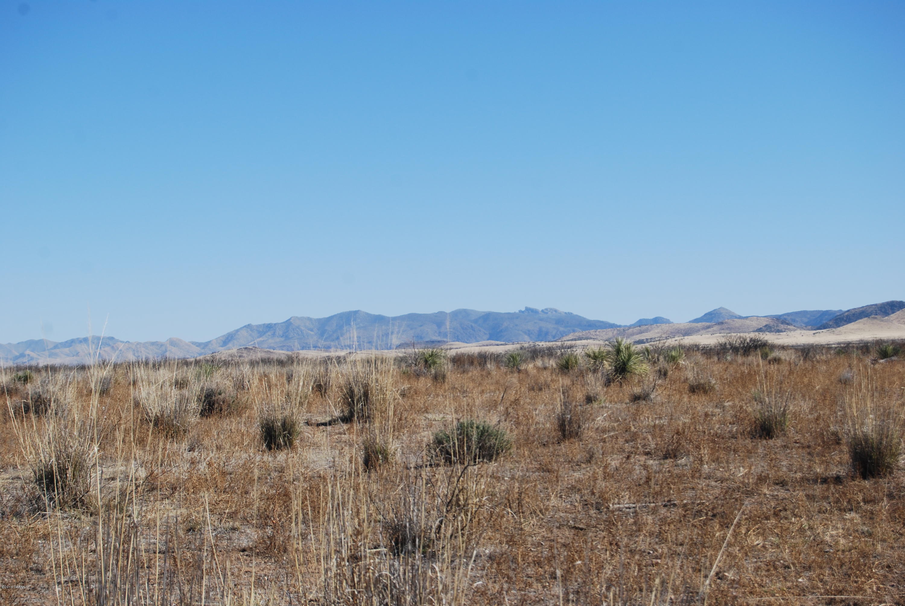 Turkey Creek Ranch - Land