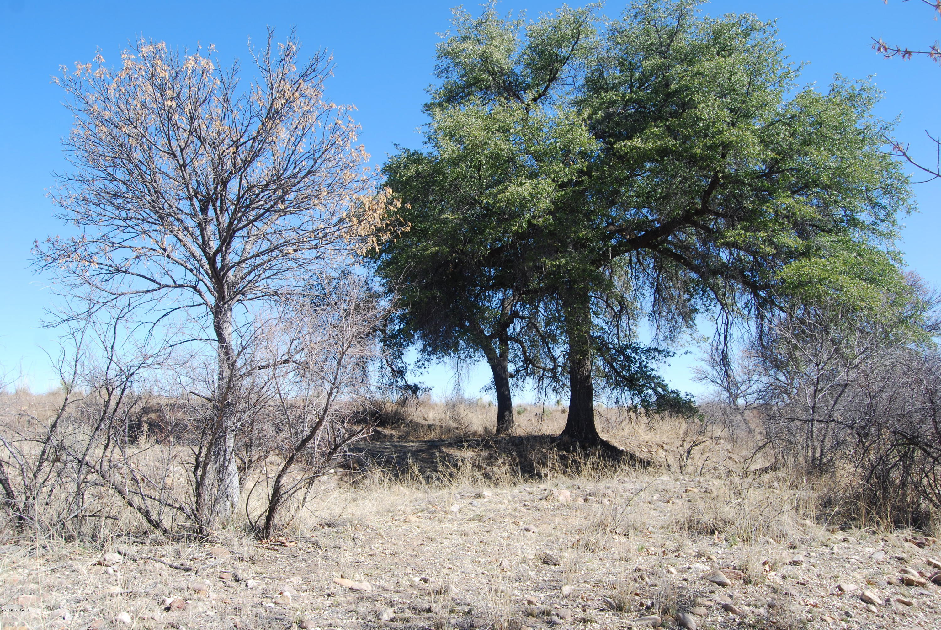 Turkey Creek Ranch - Land
