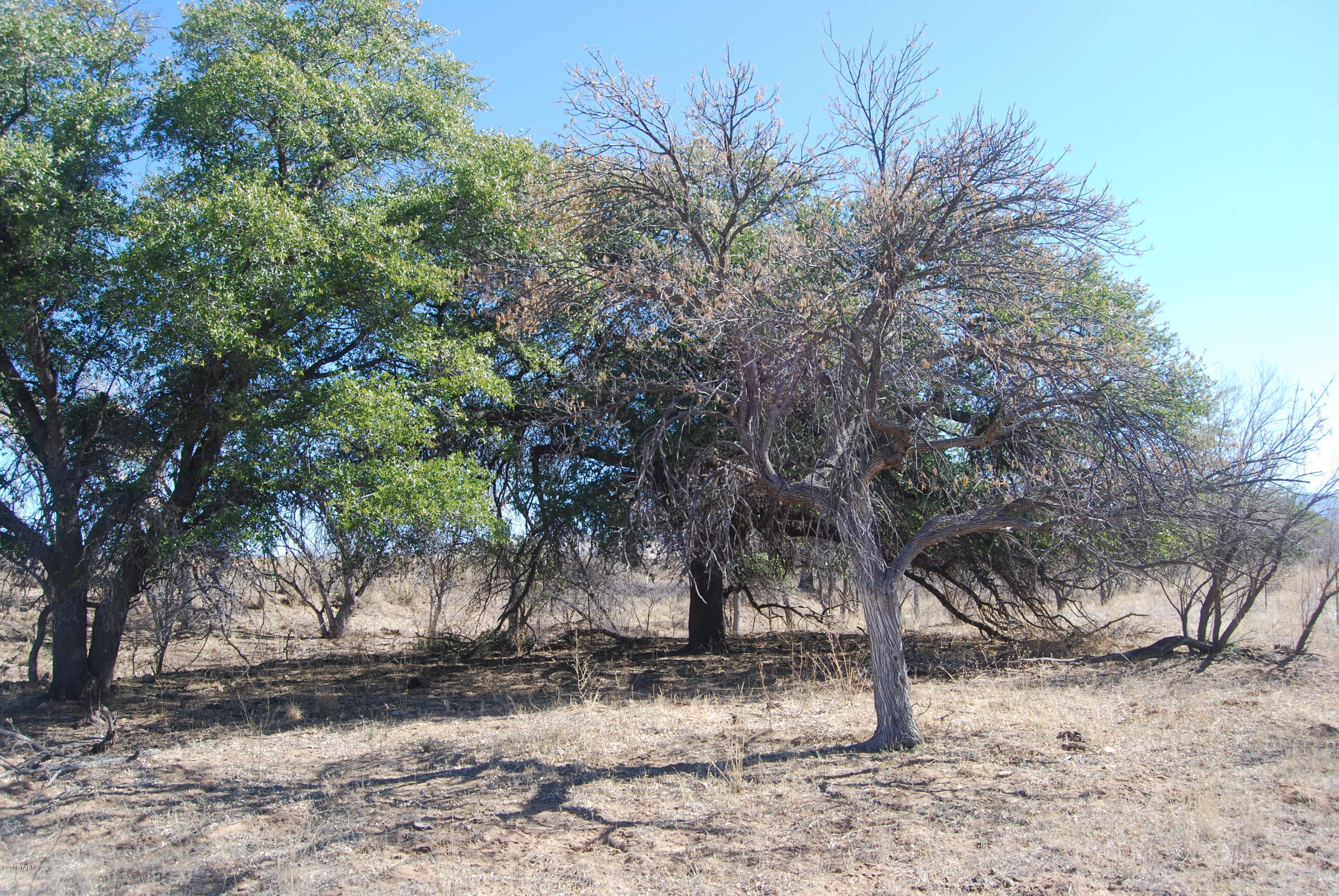 Turkey Creek Ranch - Land