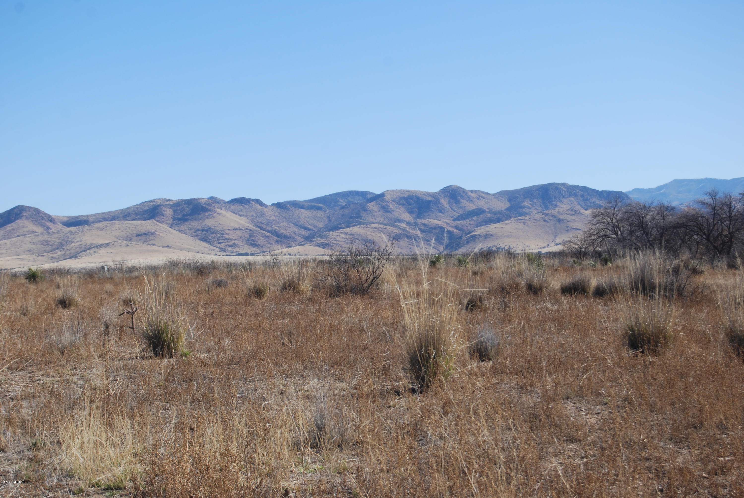 Turkey Creek Ranch - Land