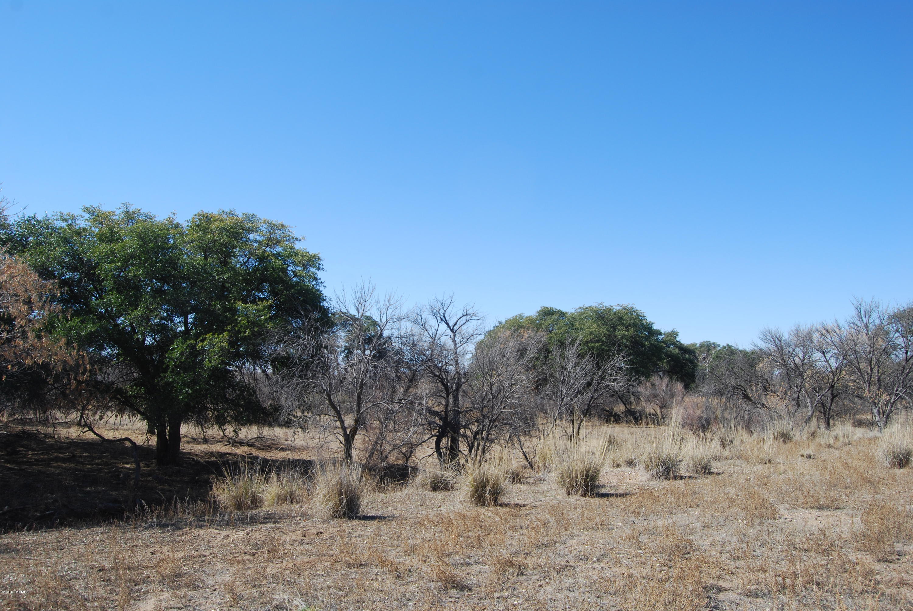 Turkey Creek Ranch - Land