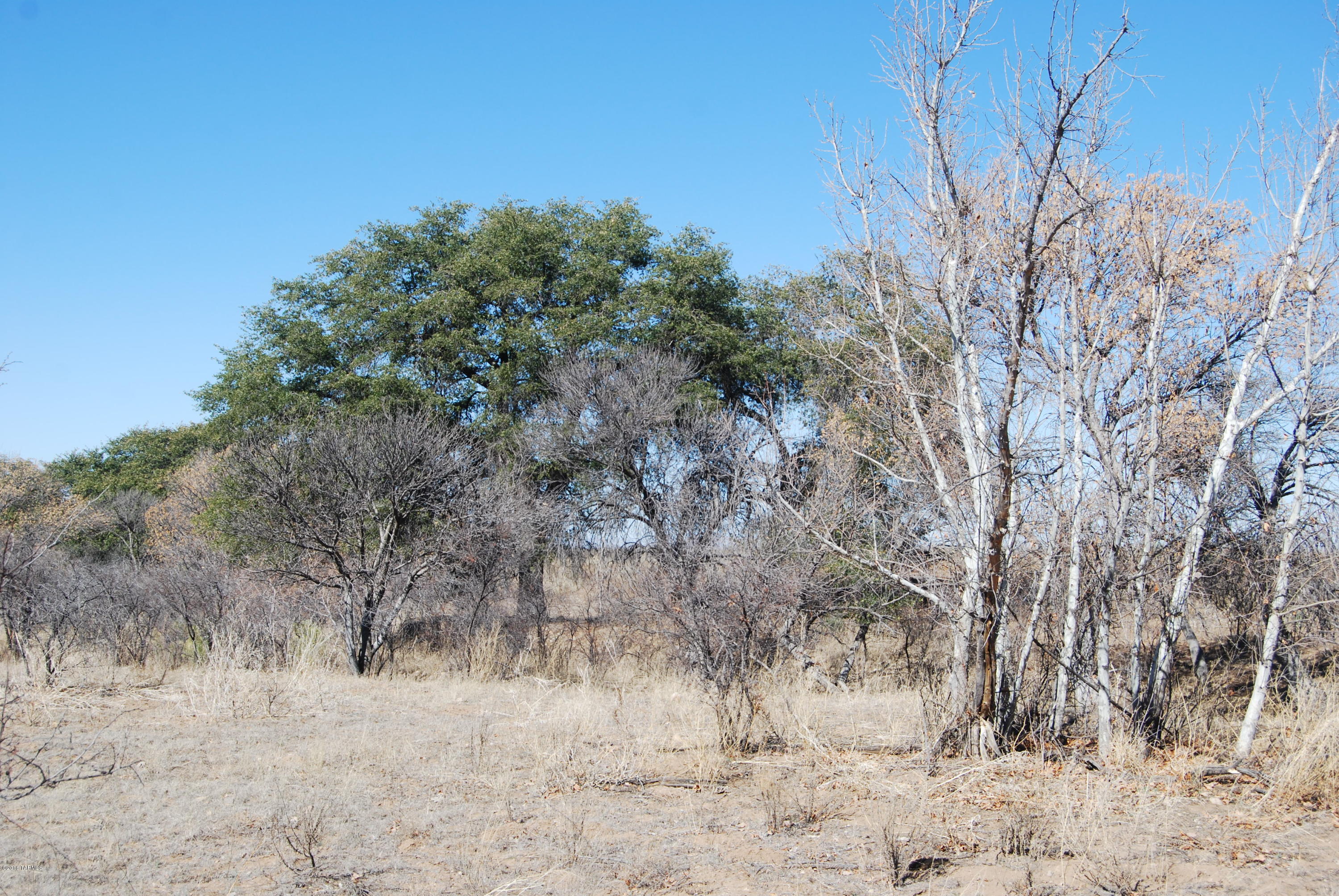 Turkey Creek Ranch - Land