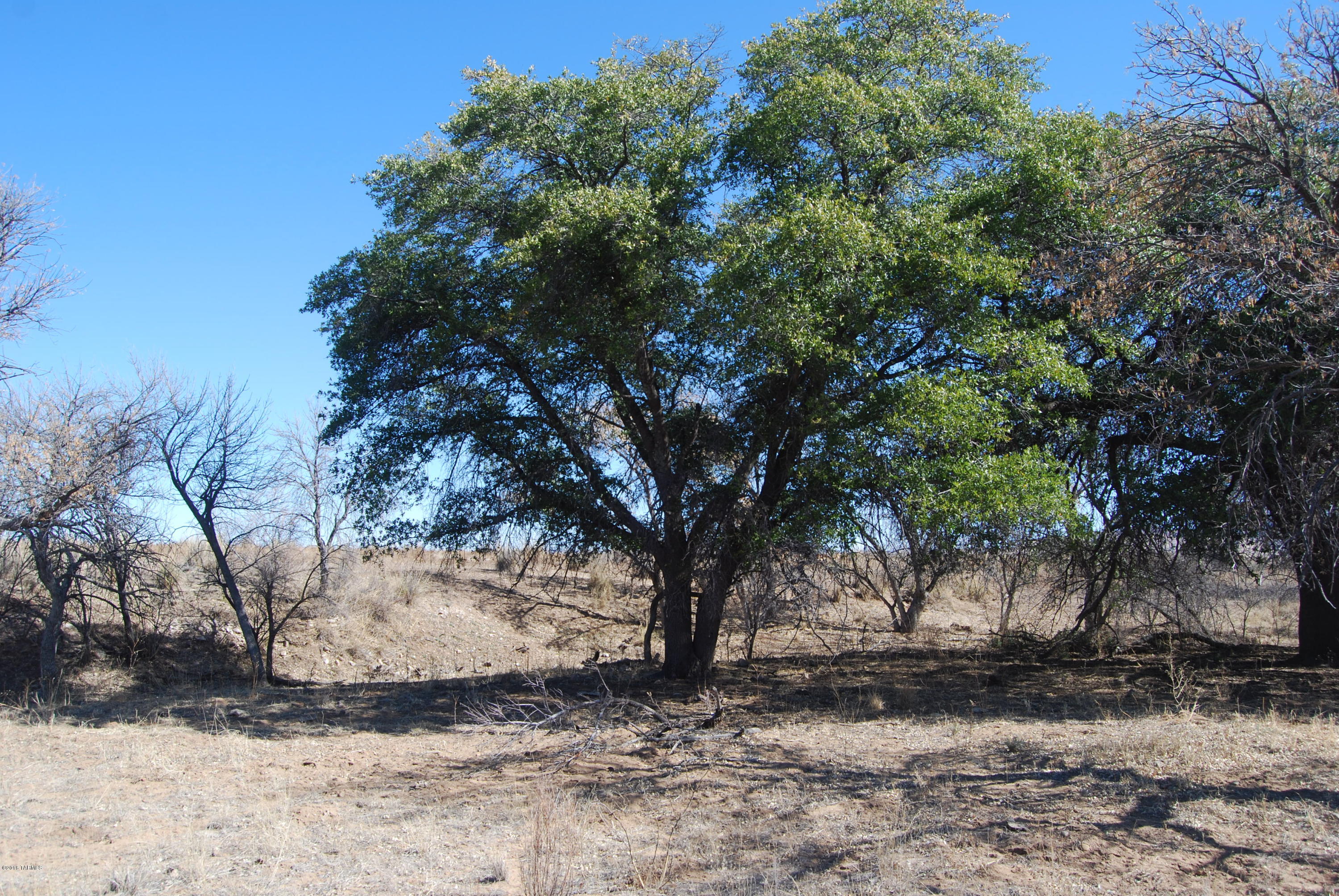 Turkey Creek Ranch - Land