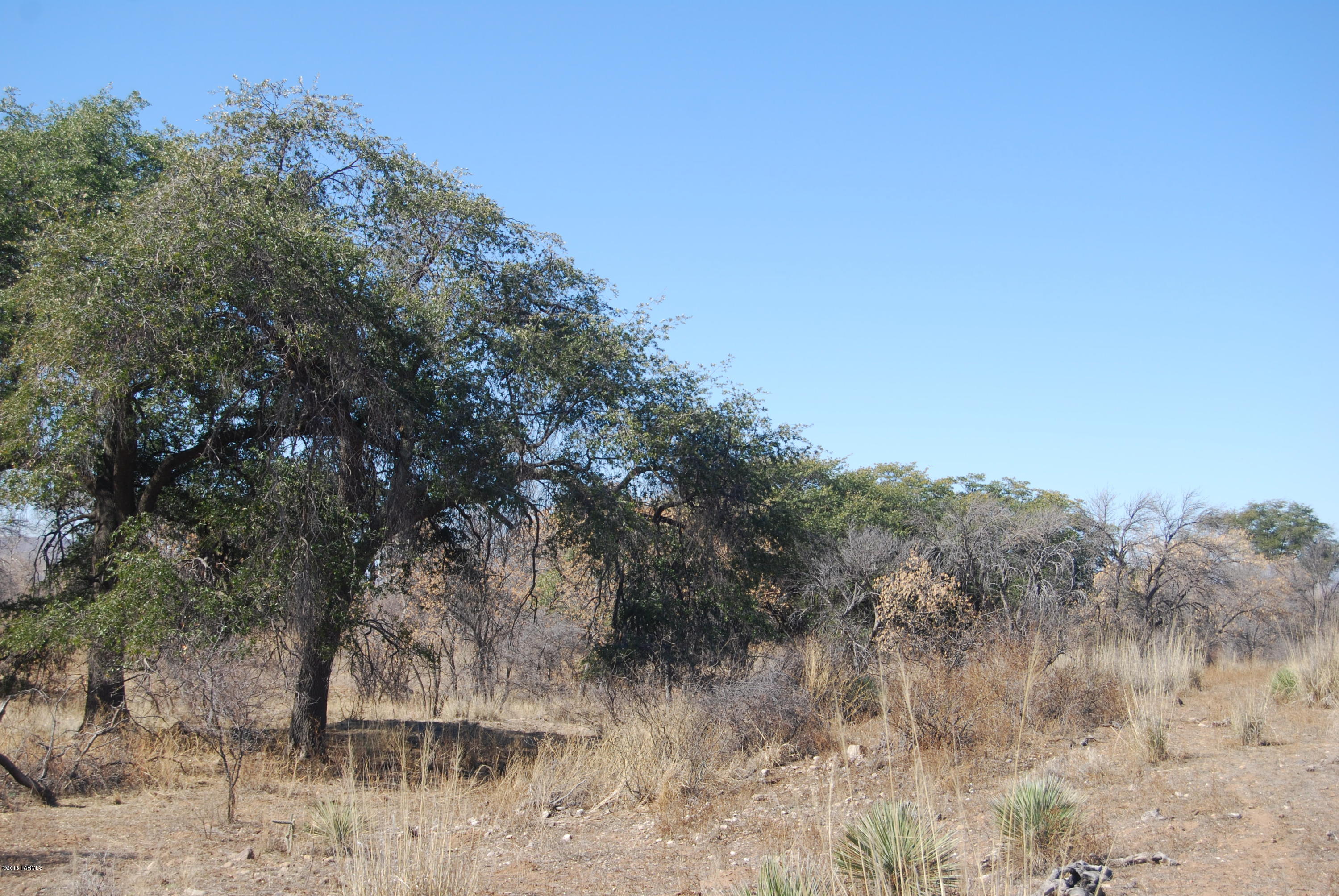 Turkey Creek Ranch - Land