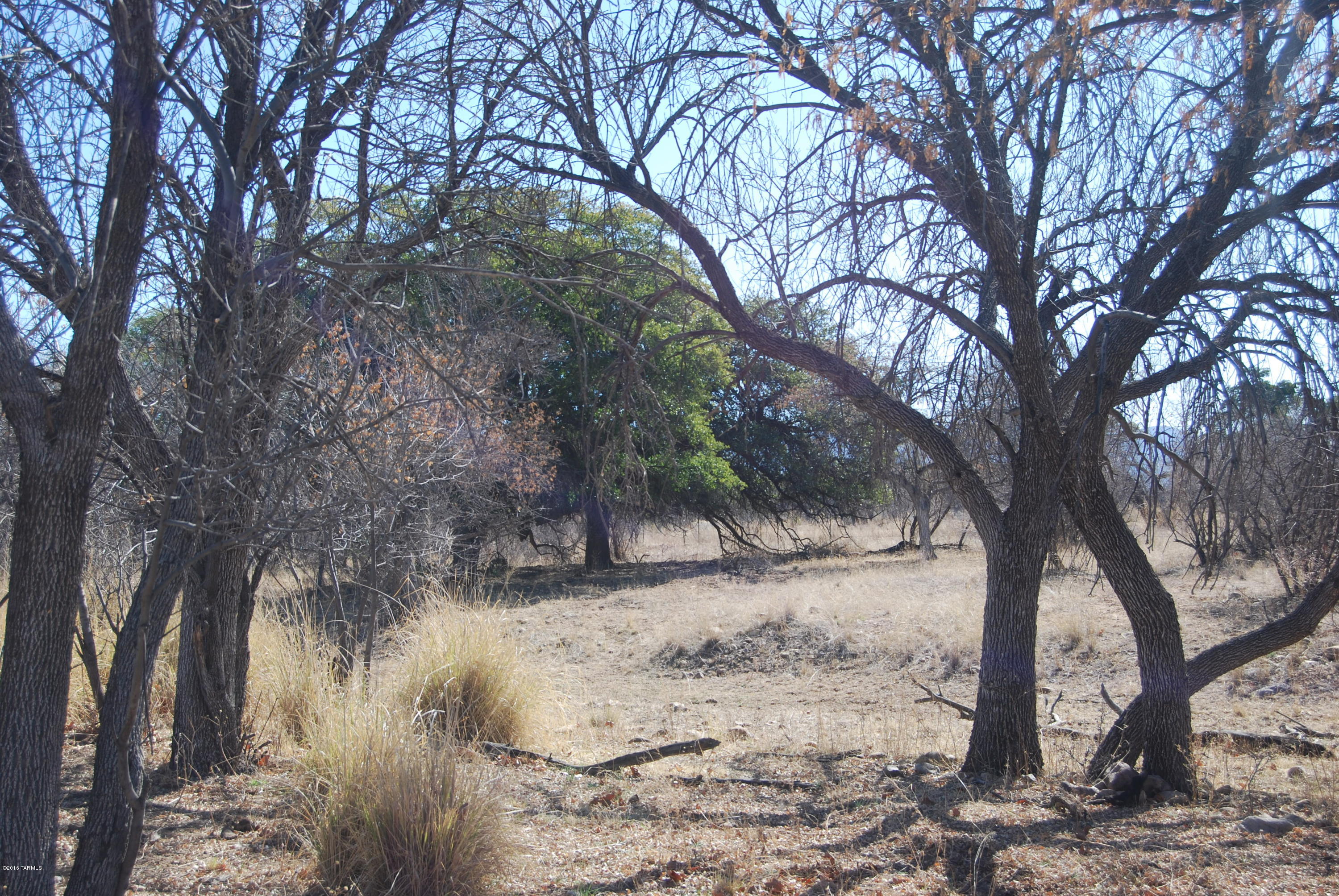 Turkey Creek Ranch - Land