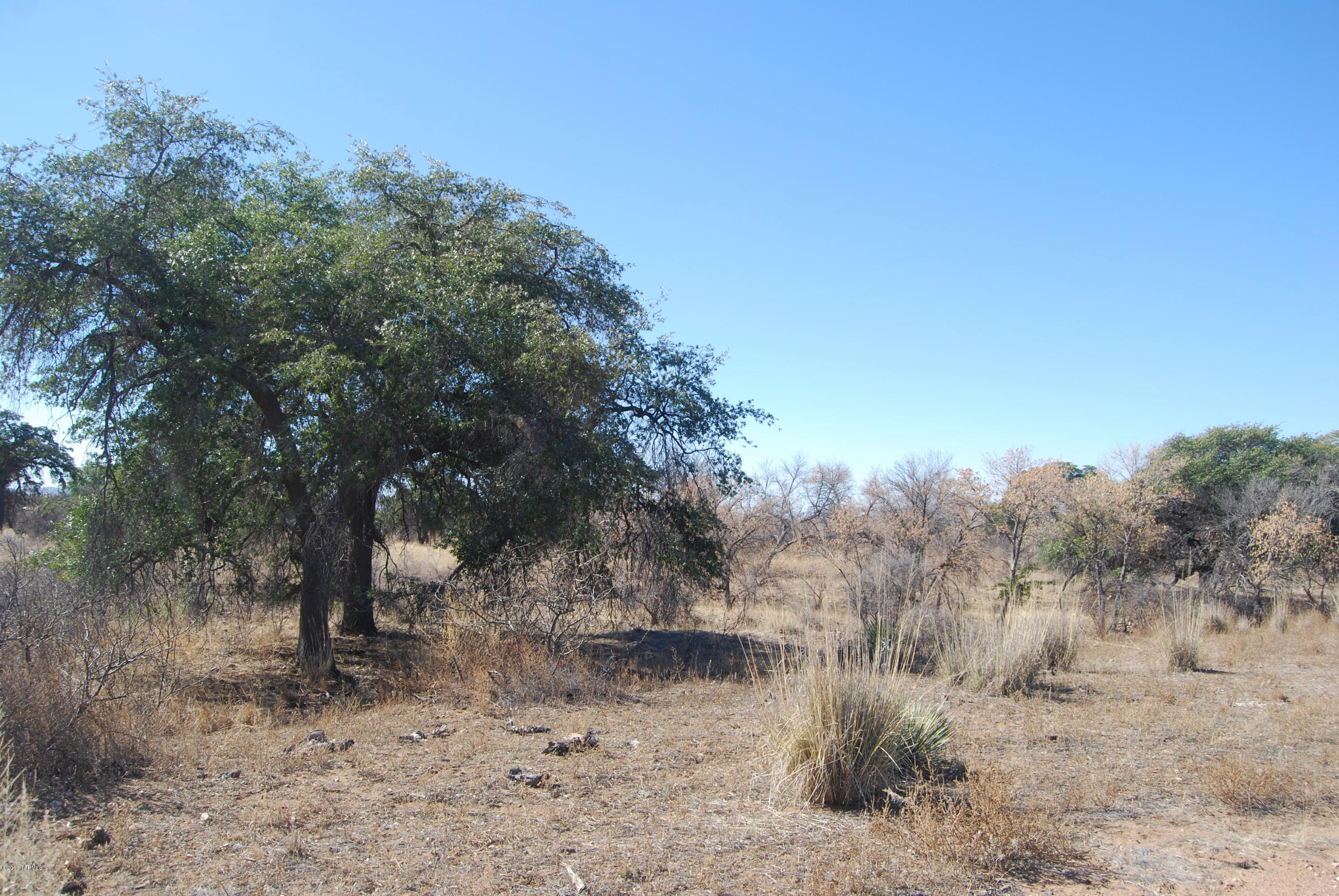 Turkey Creek Ranch - Land
