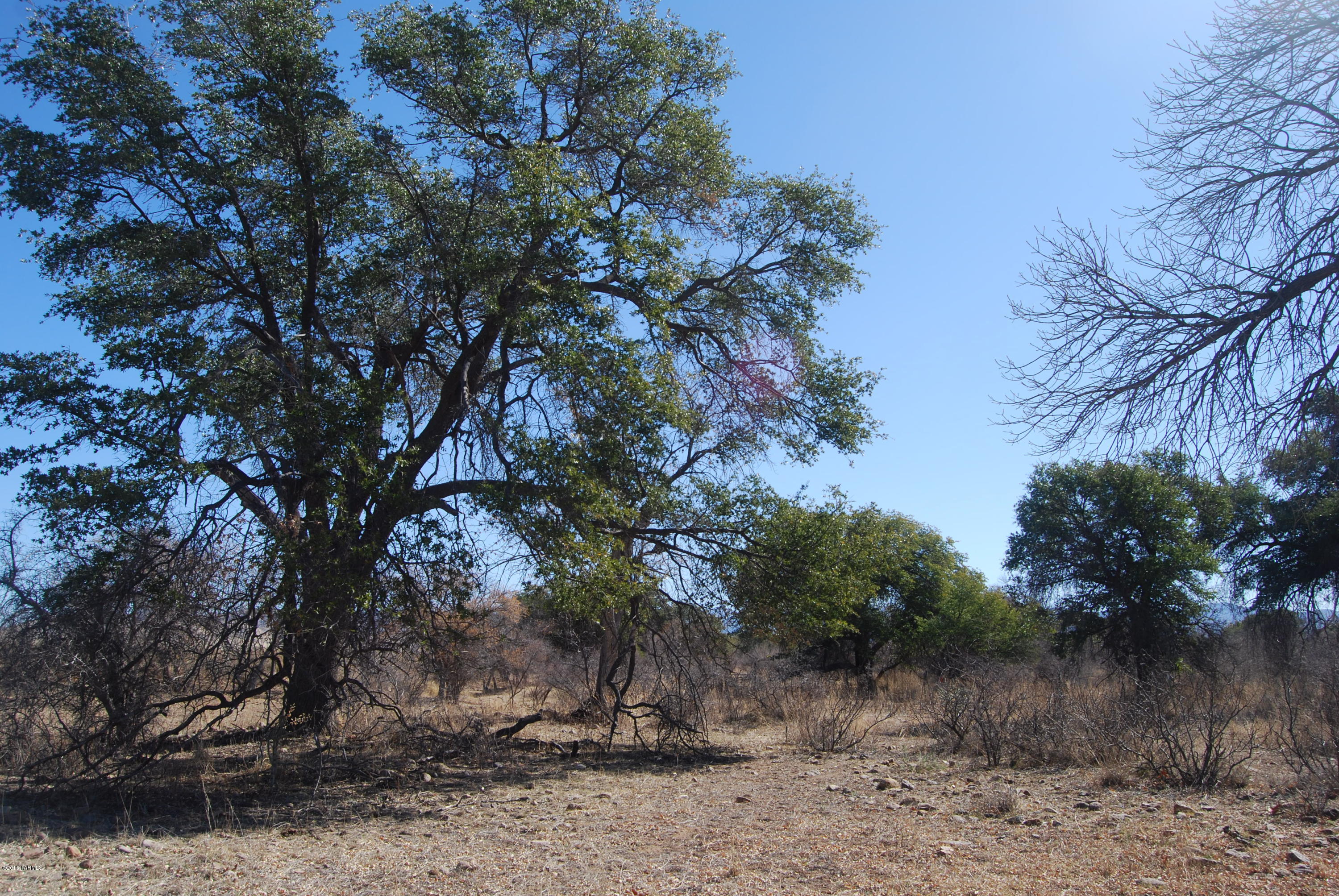 Turkey Creek Ranch - Land