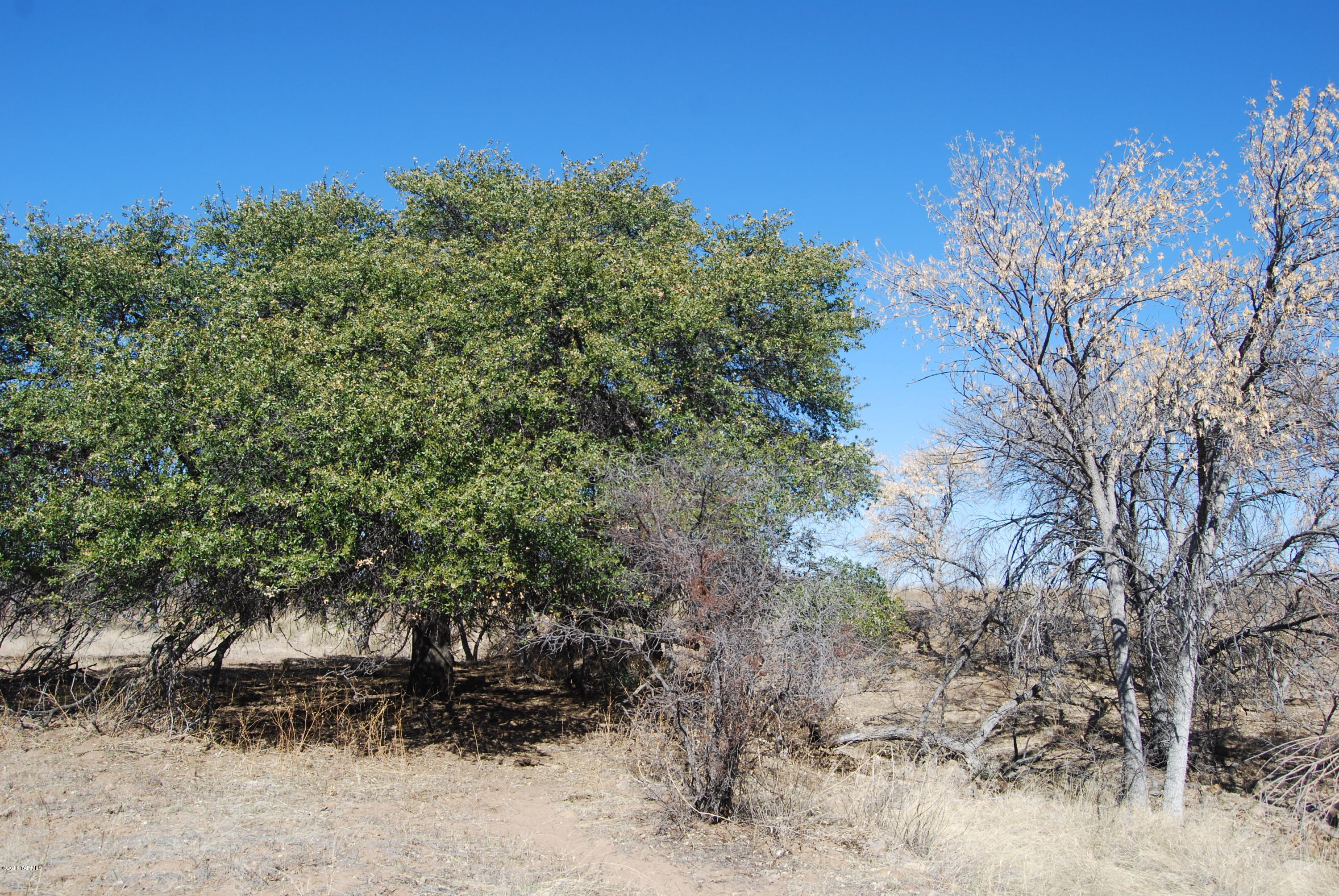 Turkey Creek Ranch - Land